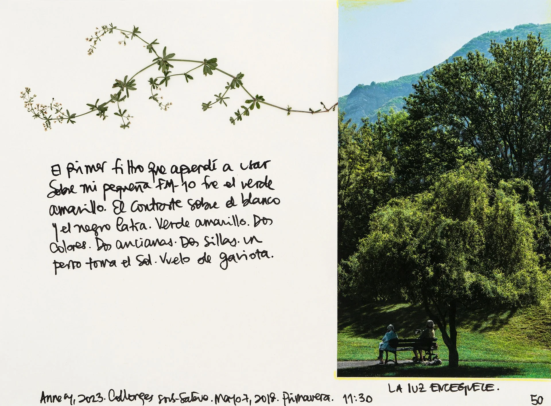 le saleve 50.jpg