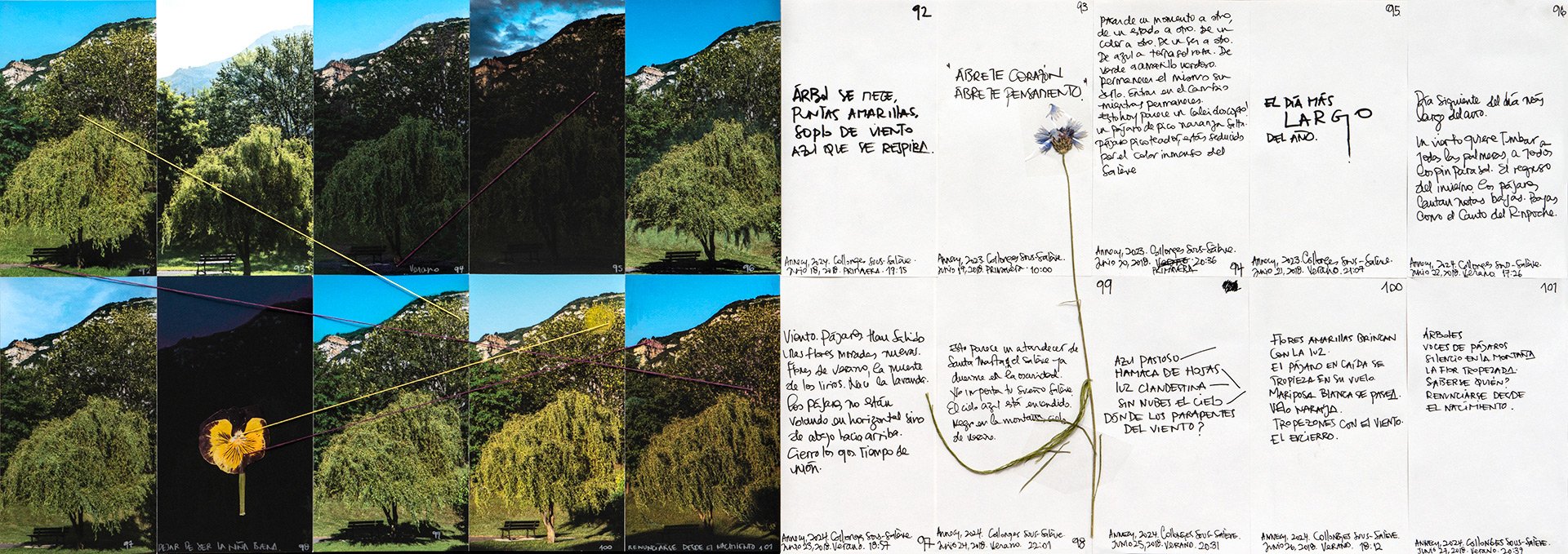 le saleve 92 101.jpg