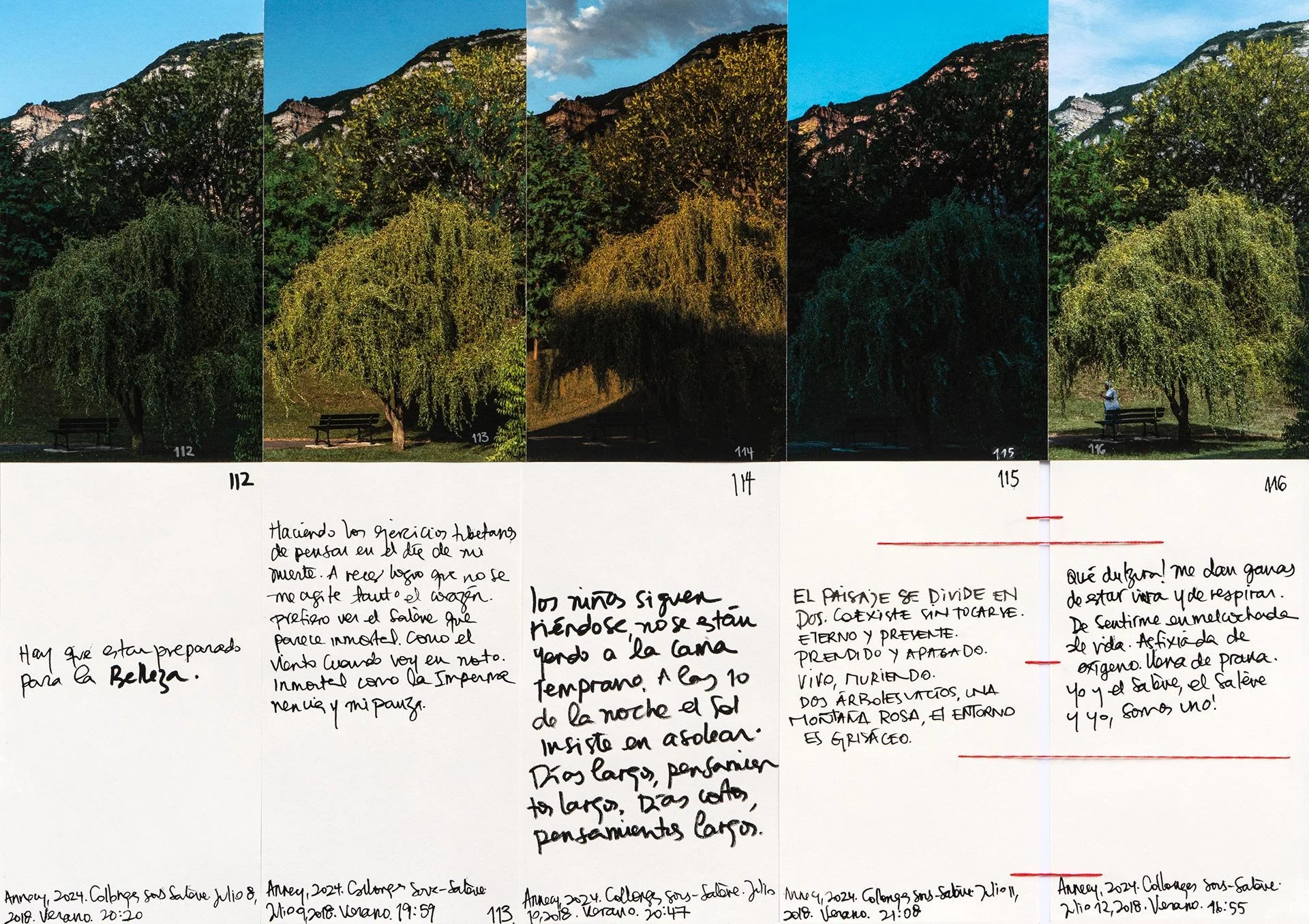 le saleve 95.jpg