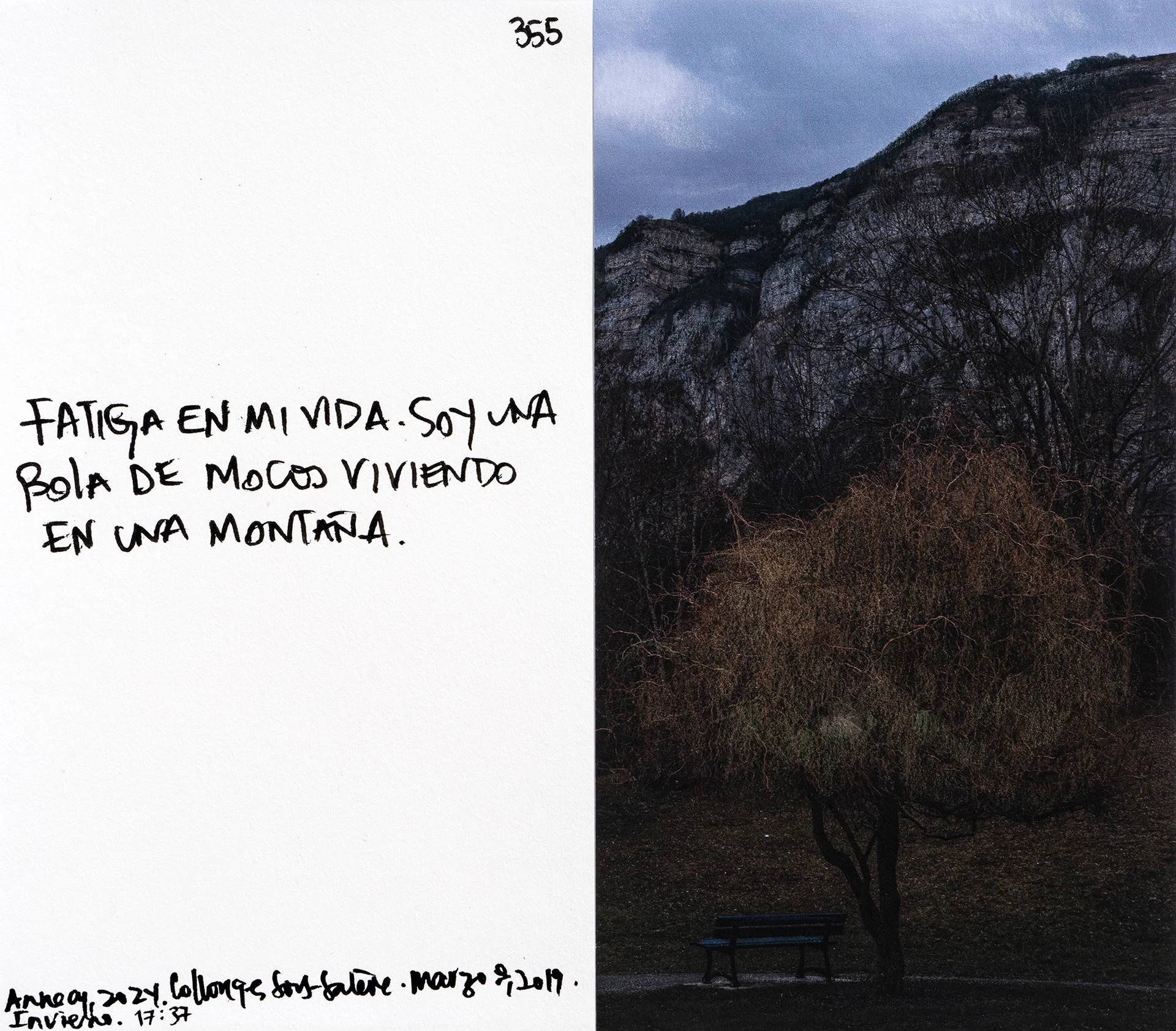 le saleve 355.jpg