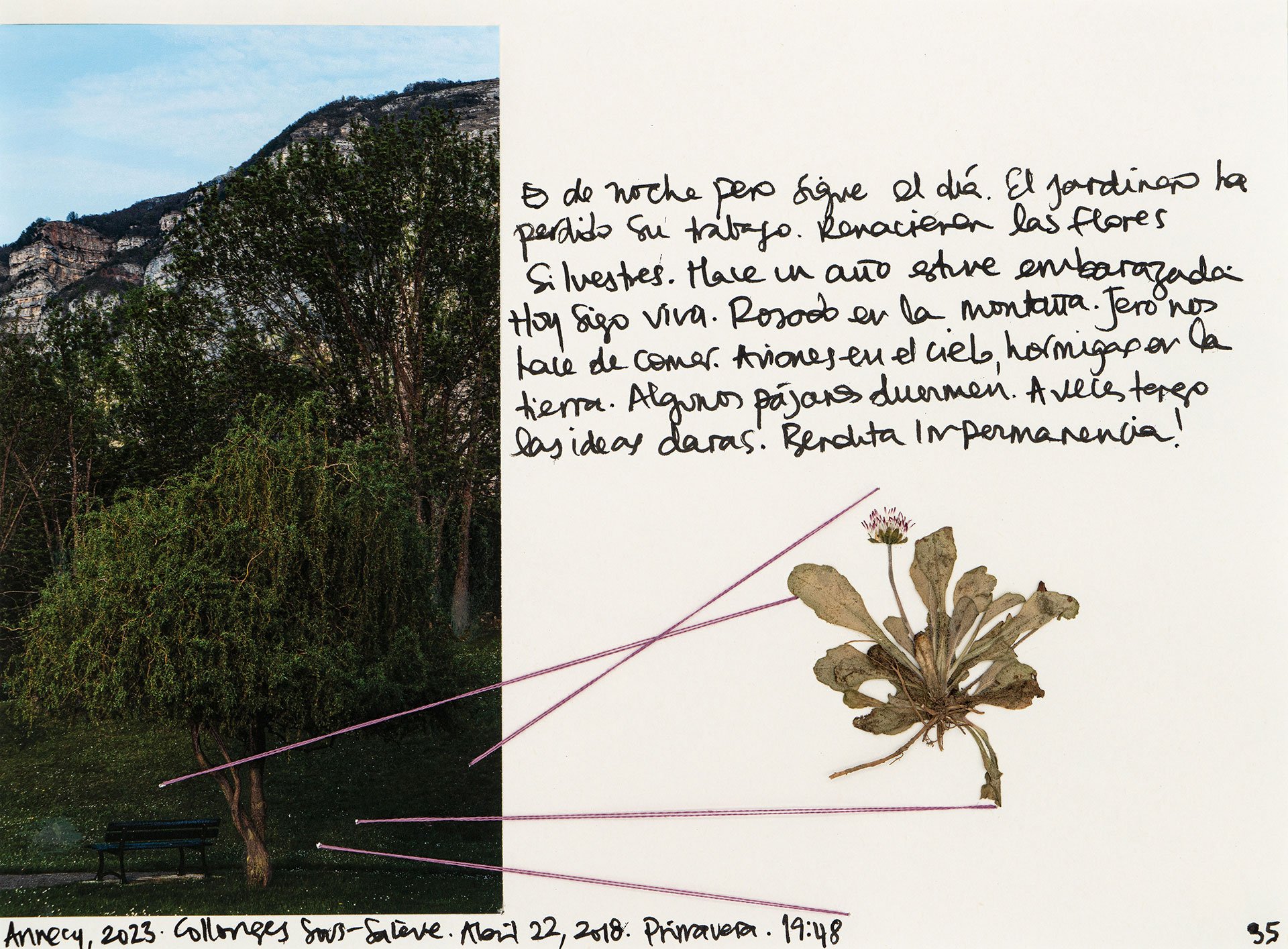 le saleve 35.jpg