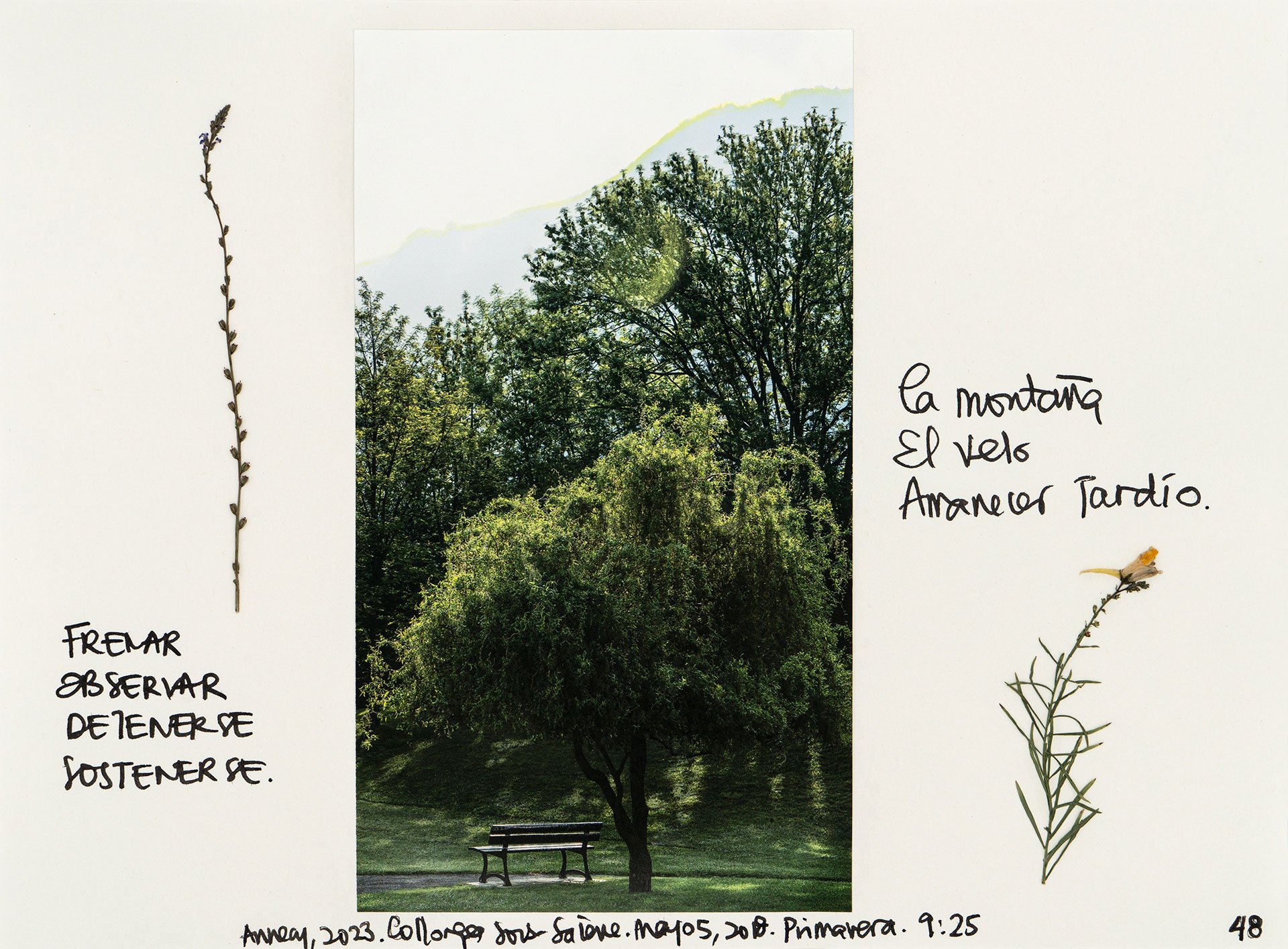 le saleve 48.jpg