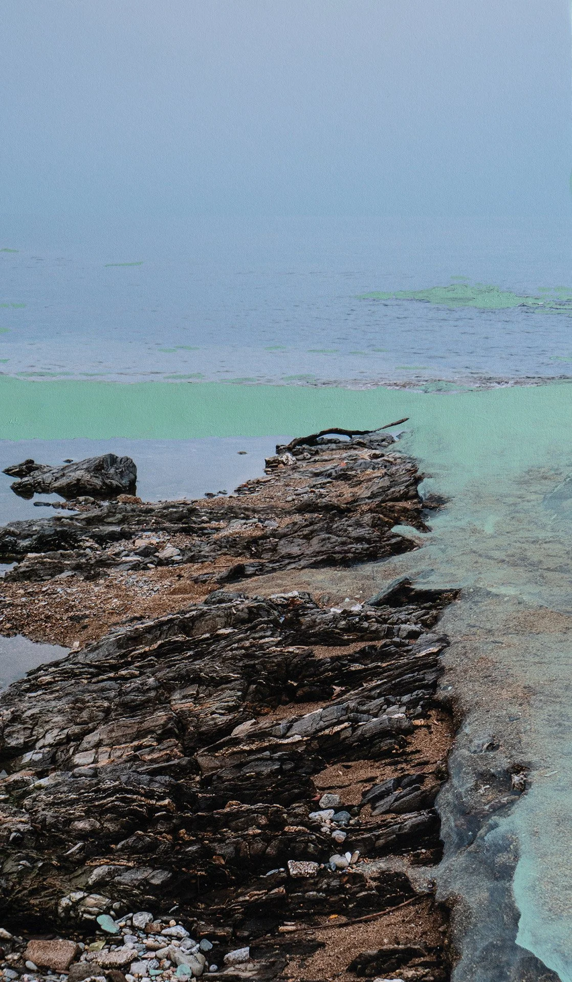 volver de un salto mar verde 4.jpg