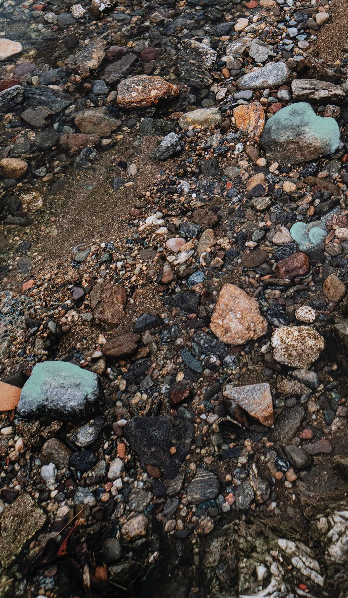 volver de un salto mar verde 3.jpg