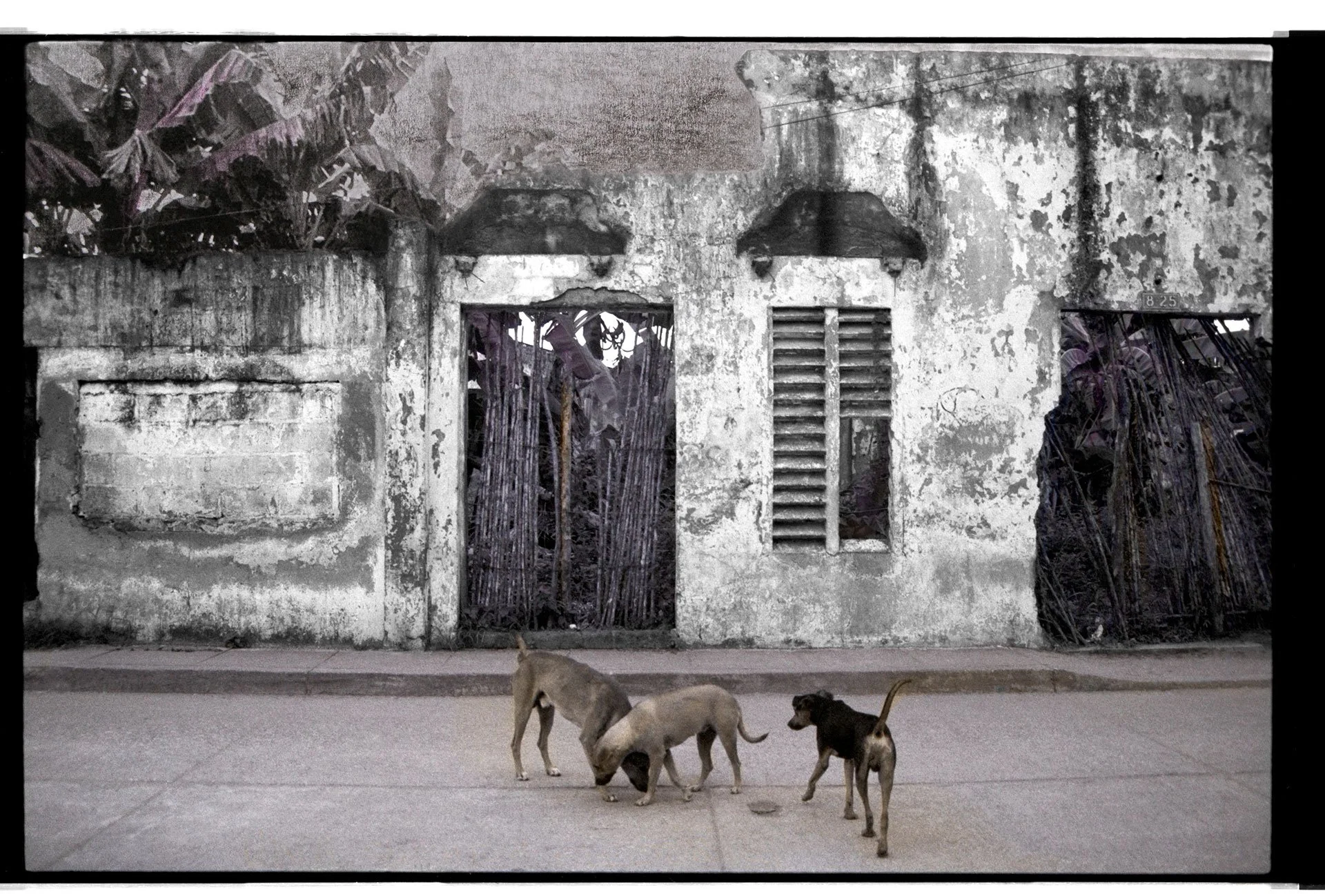 Foto 2 web.jpg