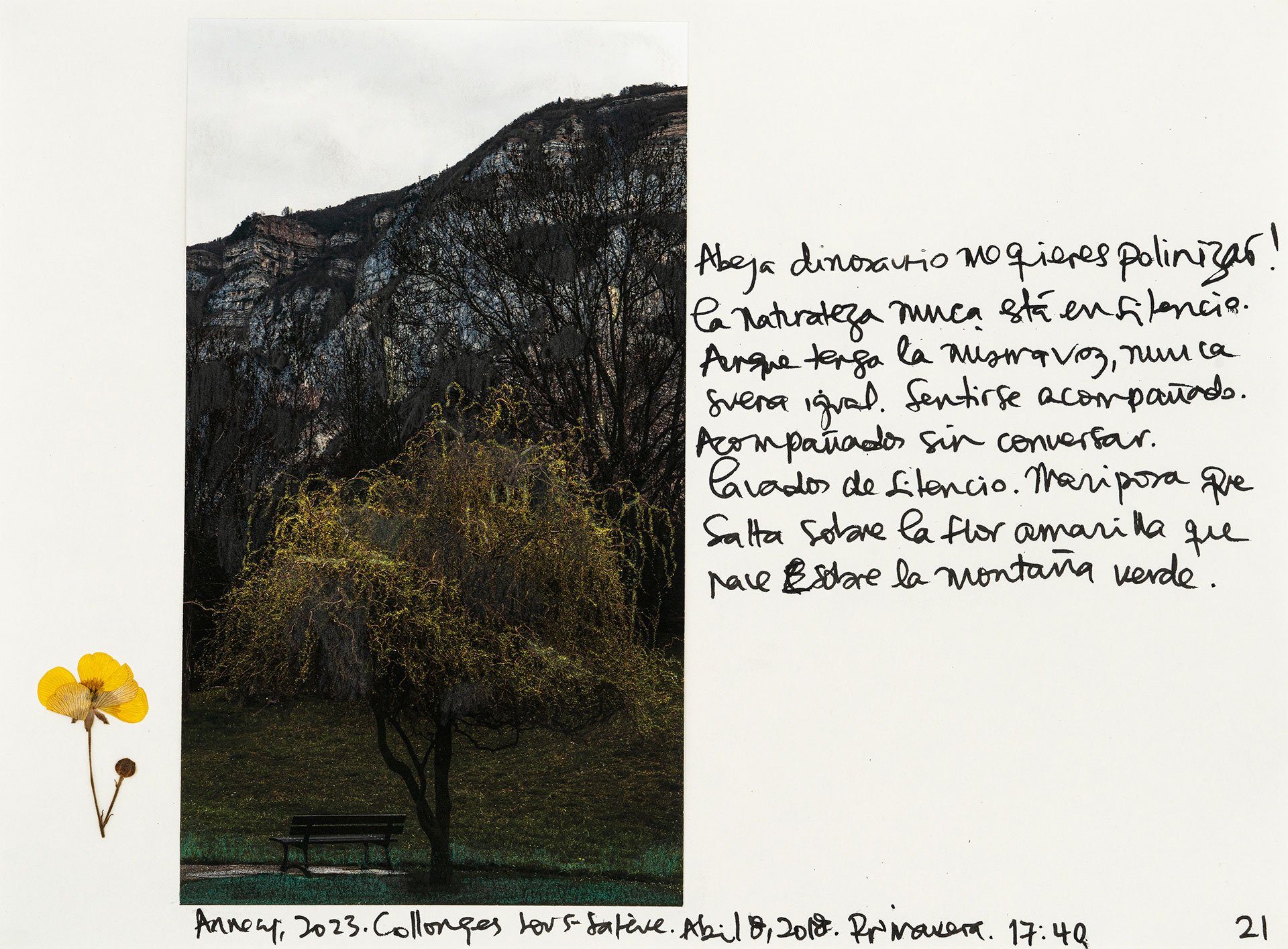 le saleve 21.jpg