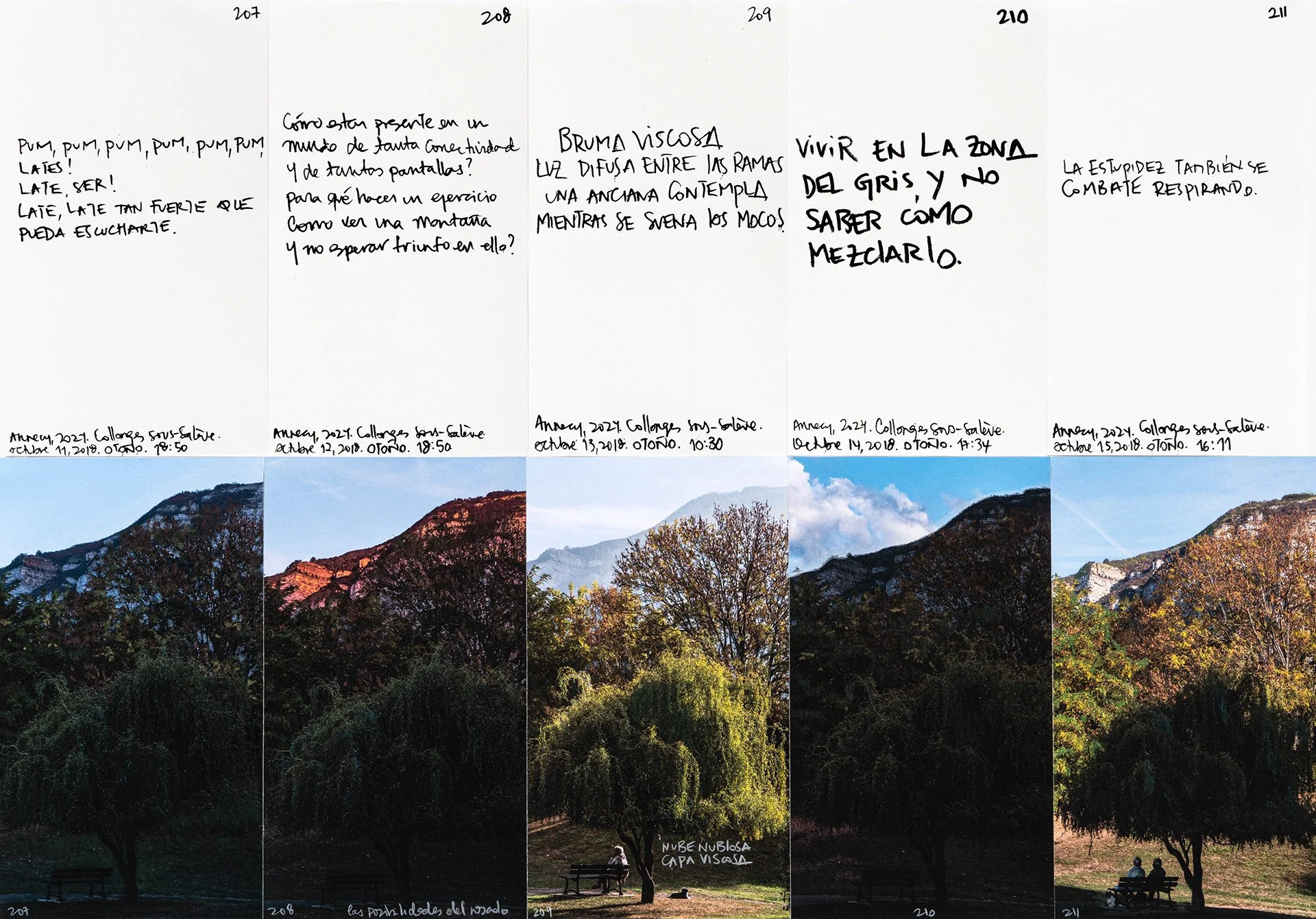 le saleve 207 211.jpg