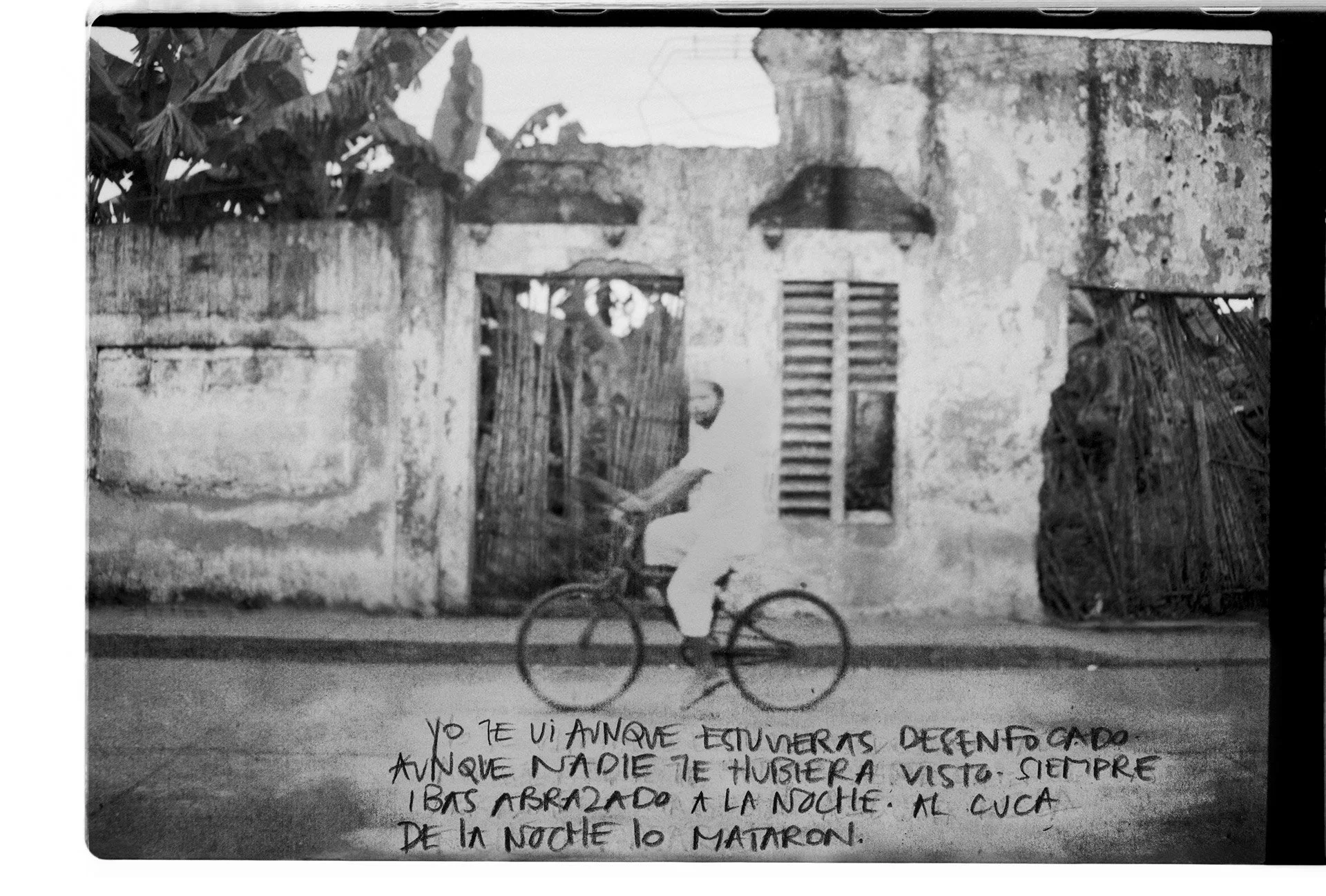 Foto 15 web.jpg