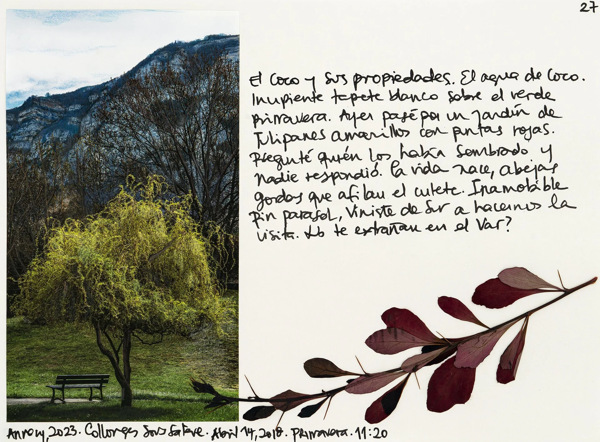 le saleve 27.jpg