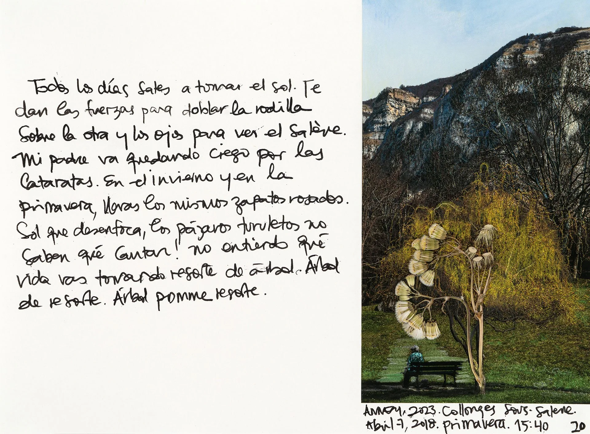 le saleve 20.jpg