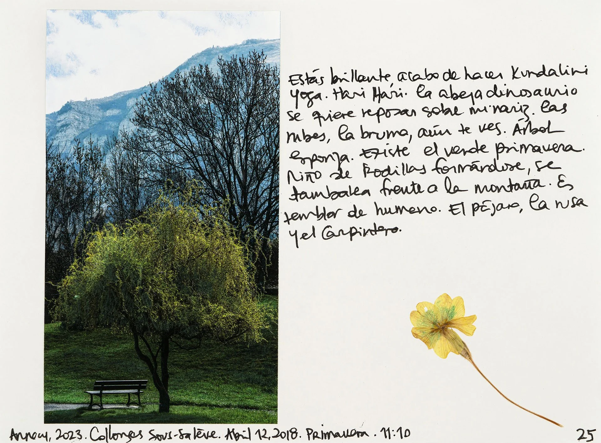 le saleve 25.jpg
