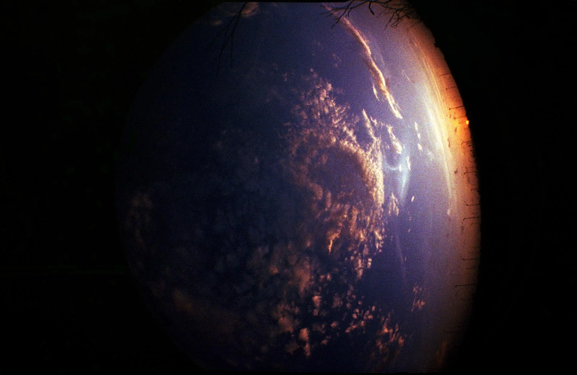 4276-Image-8.jpg