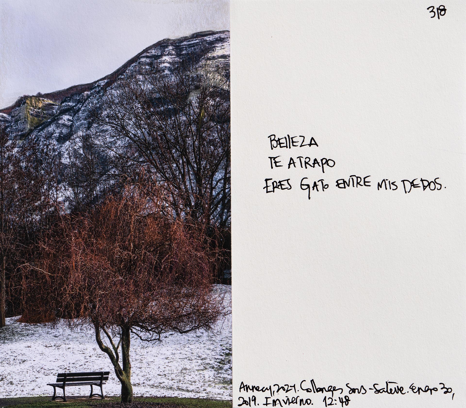 le saleve 318.jpg