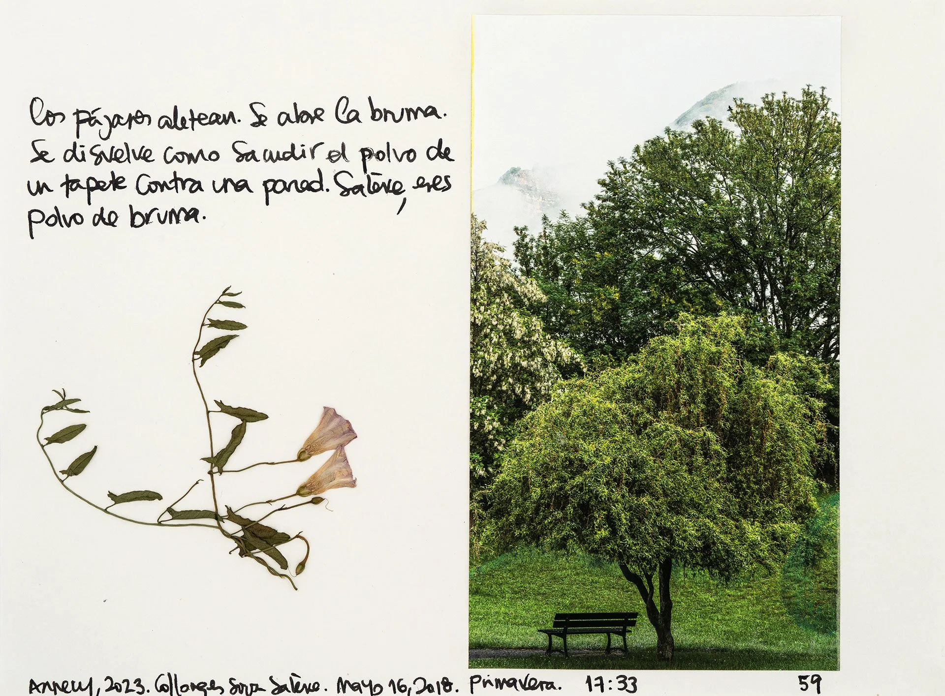 le saleve 59.jpg