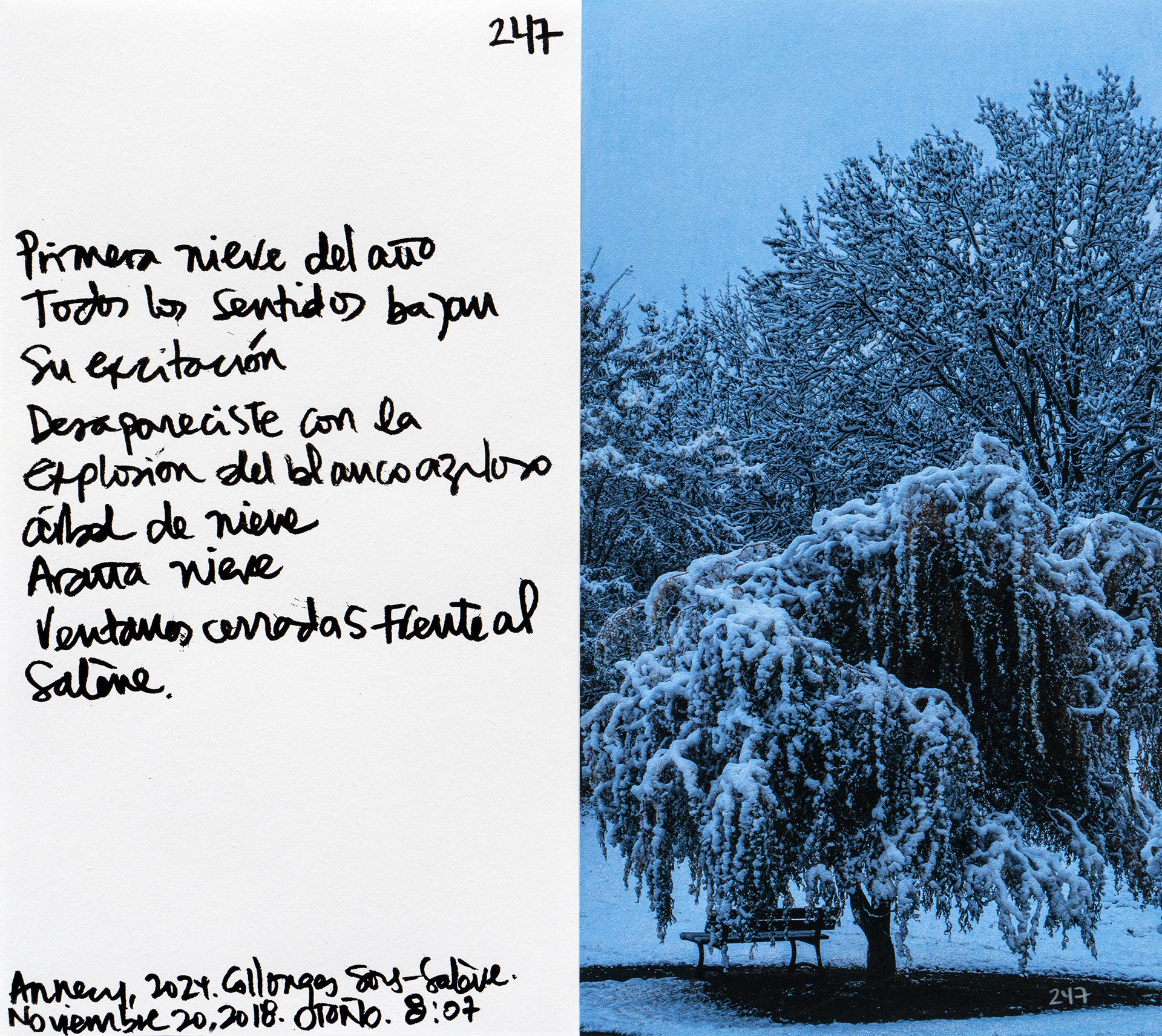 le saleve 247.jpg
