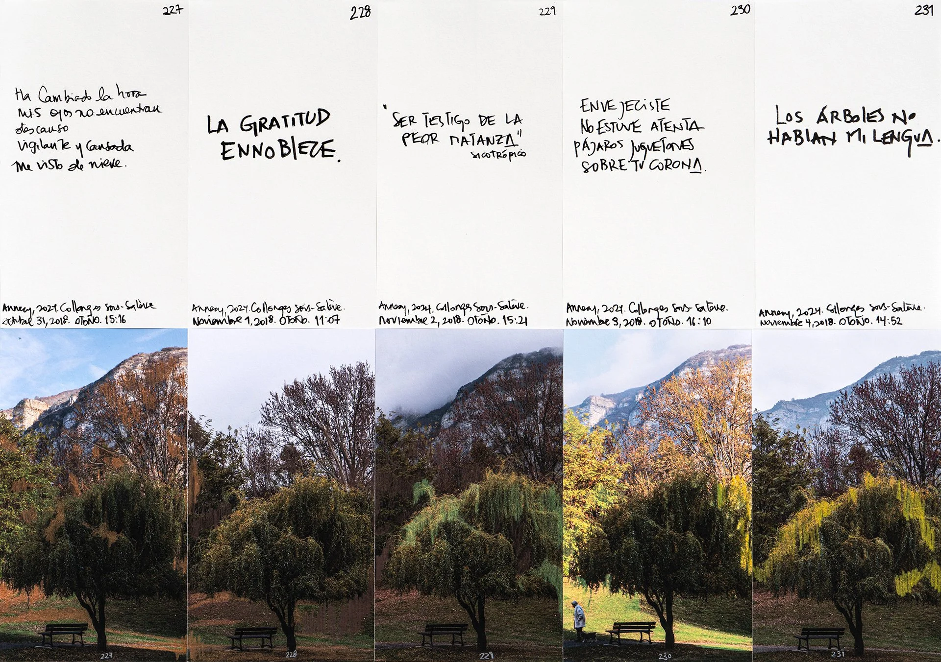le saleve 227 231.jpg