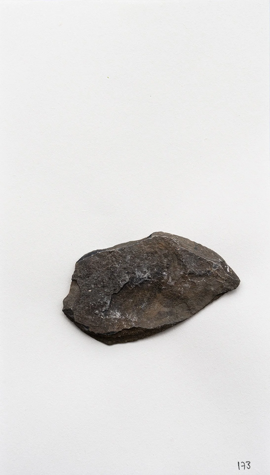 le saleve 173.jpg
