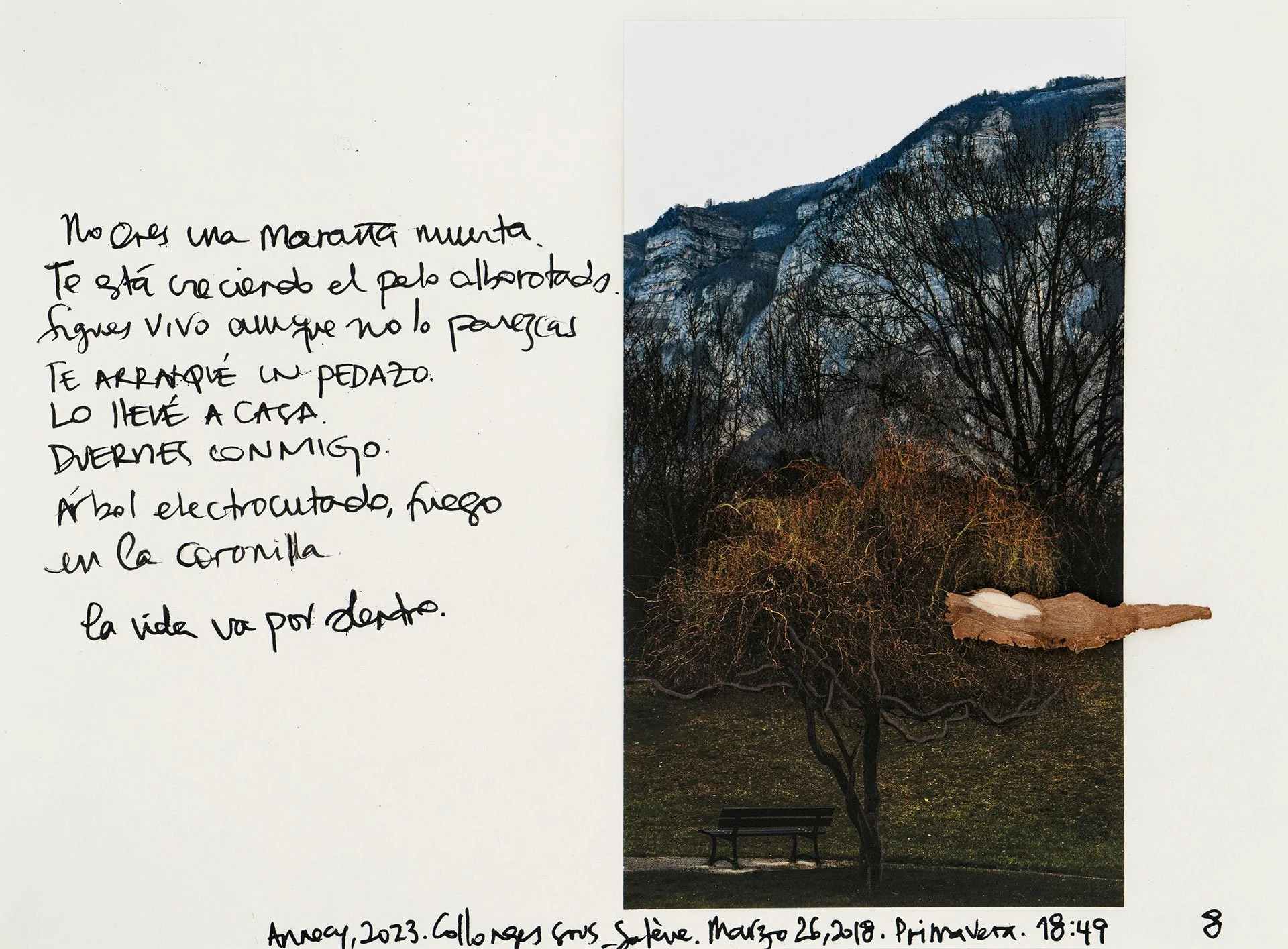 le saleve 8.jpg