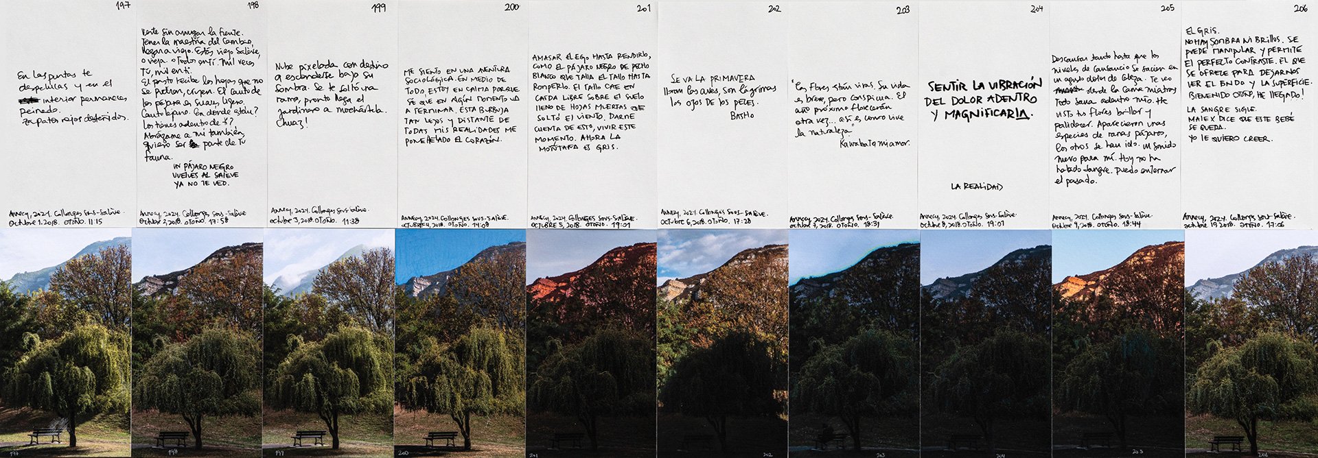 le saleve 197 206.jpg