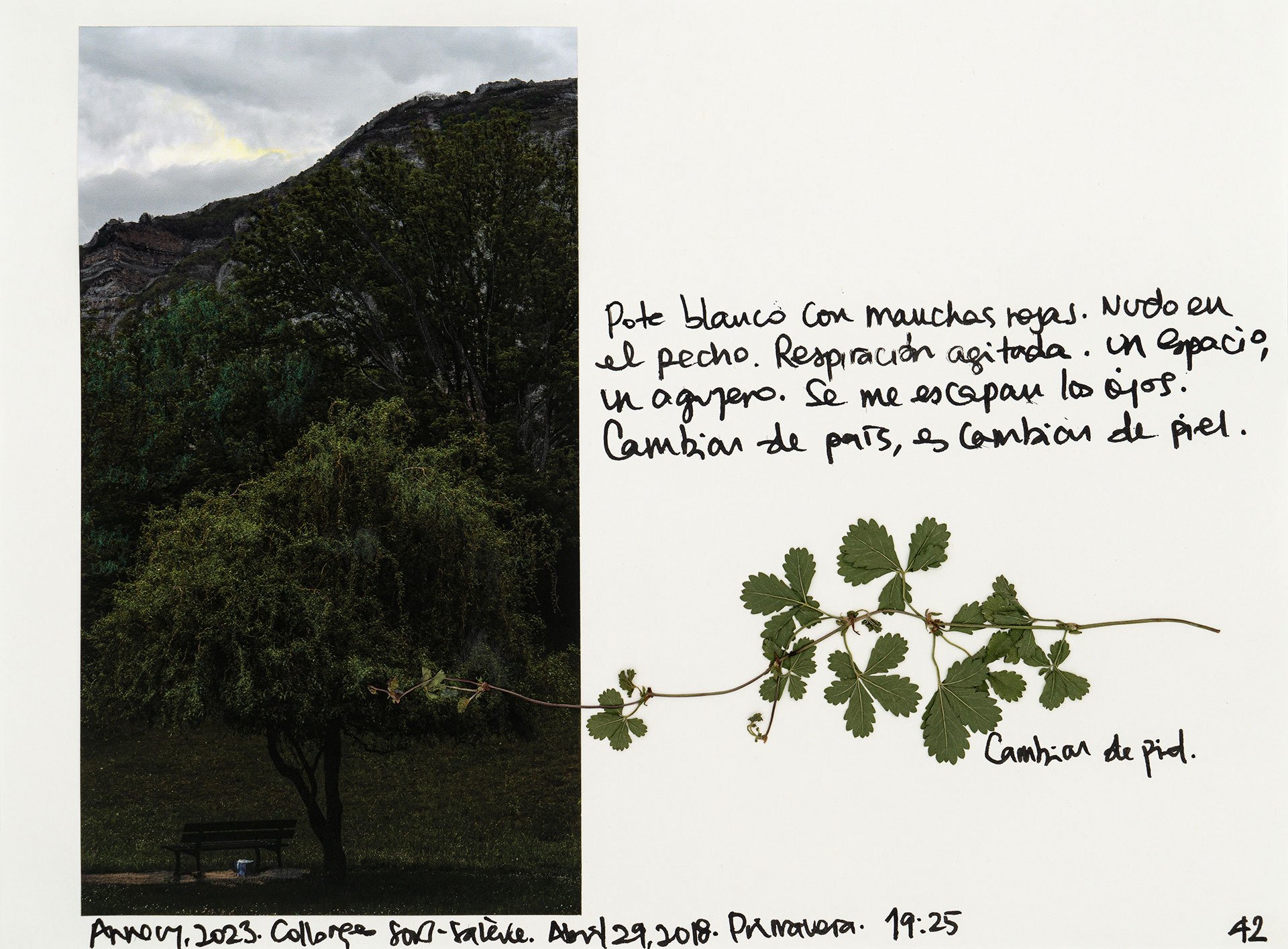 le saleve 42.jpg