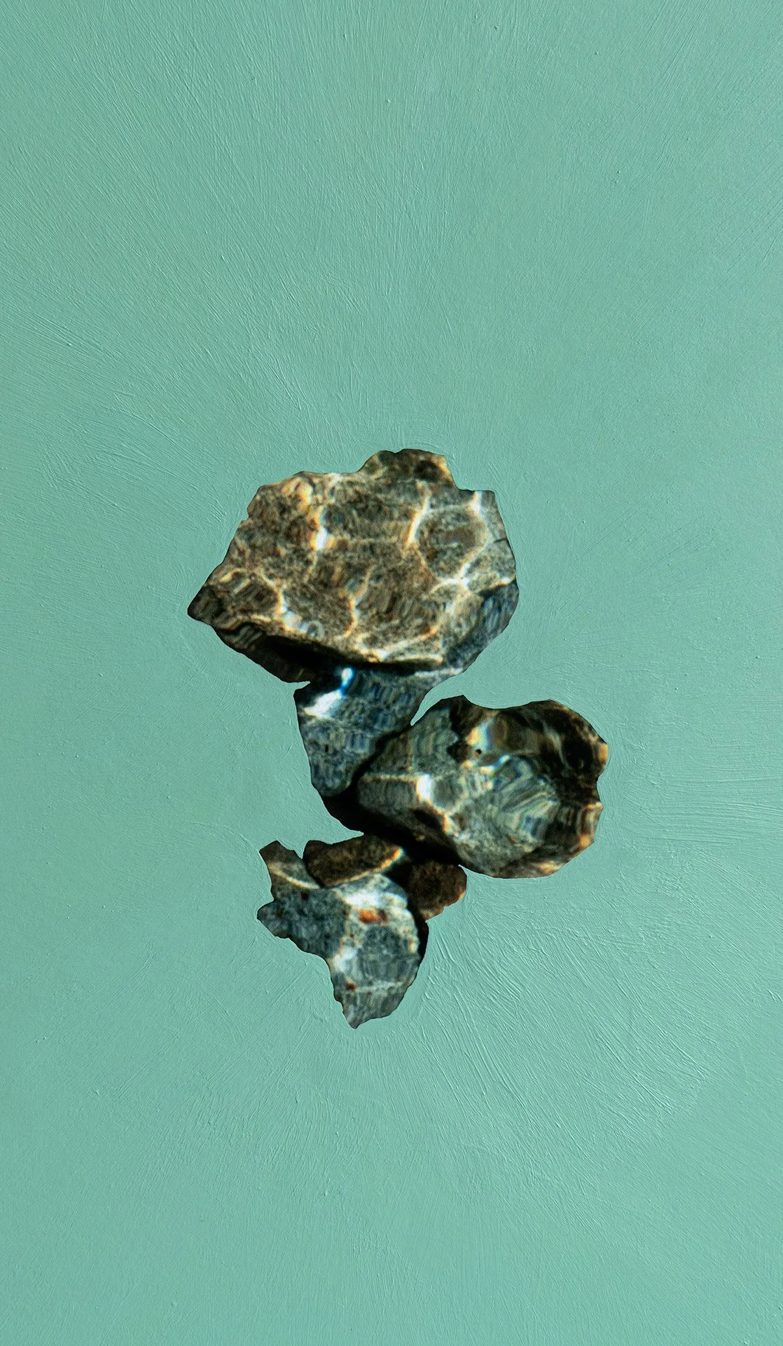 volver de un salto piedra verde 2.jpg