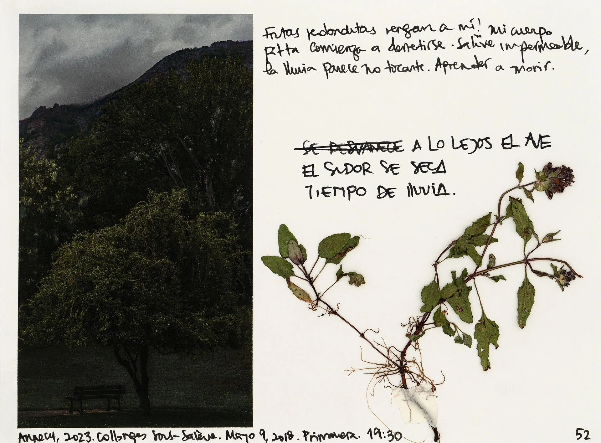le saleve 52.jpg