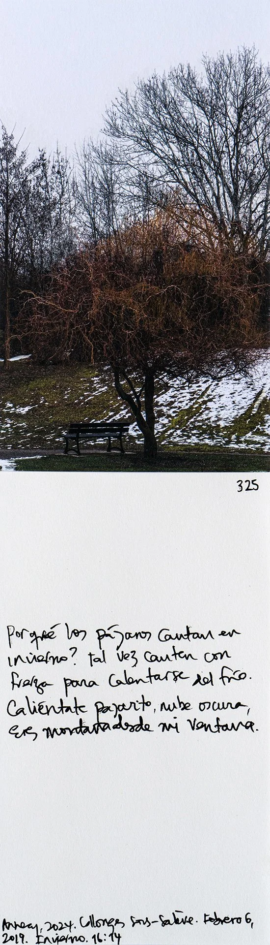 le saleve 325.jpg