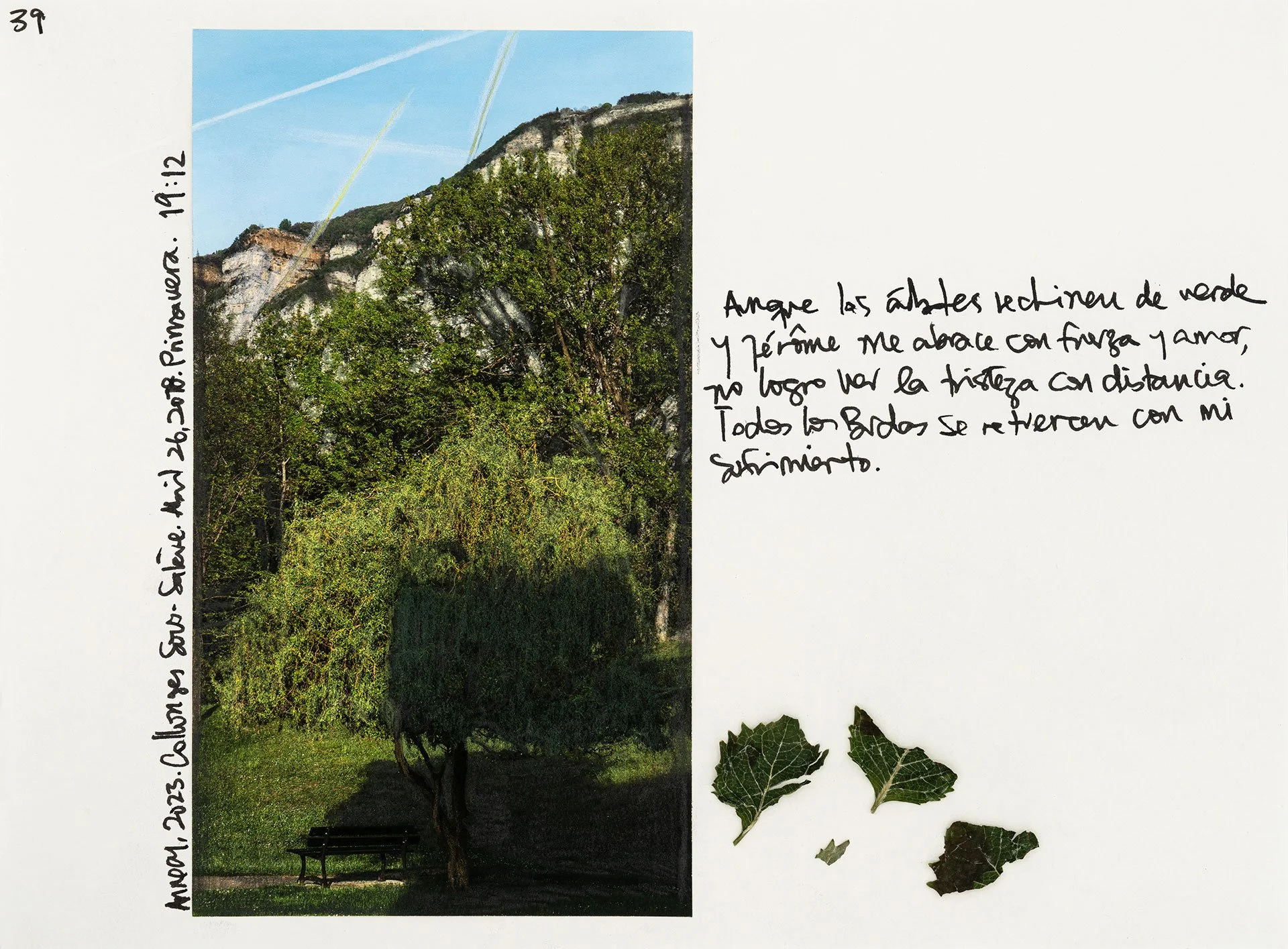 le saleve 39.jpg