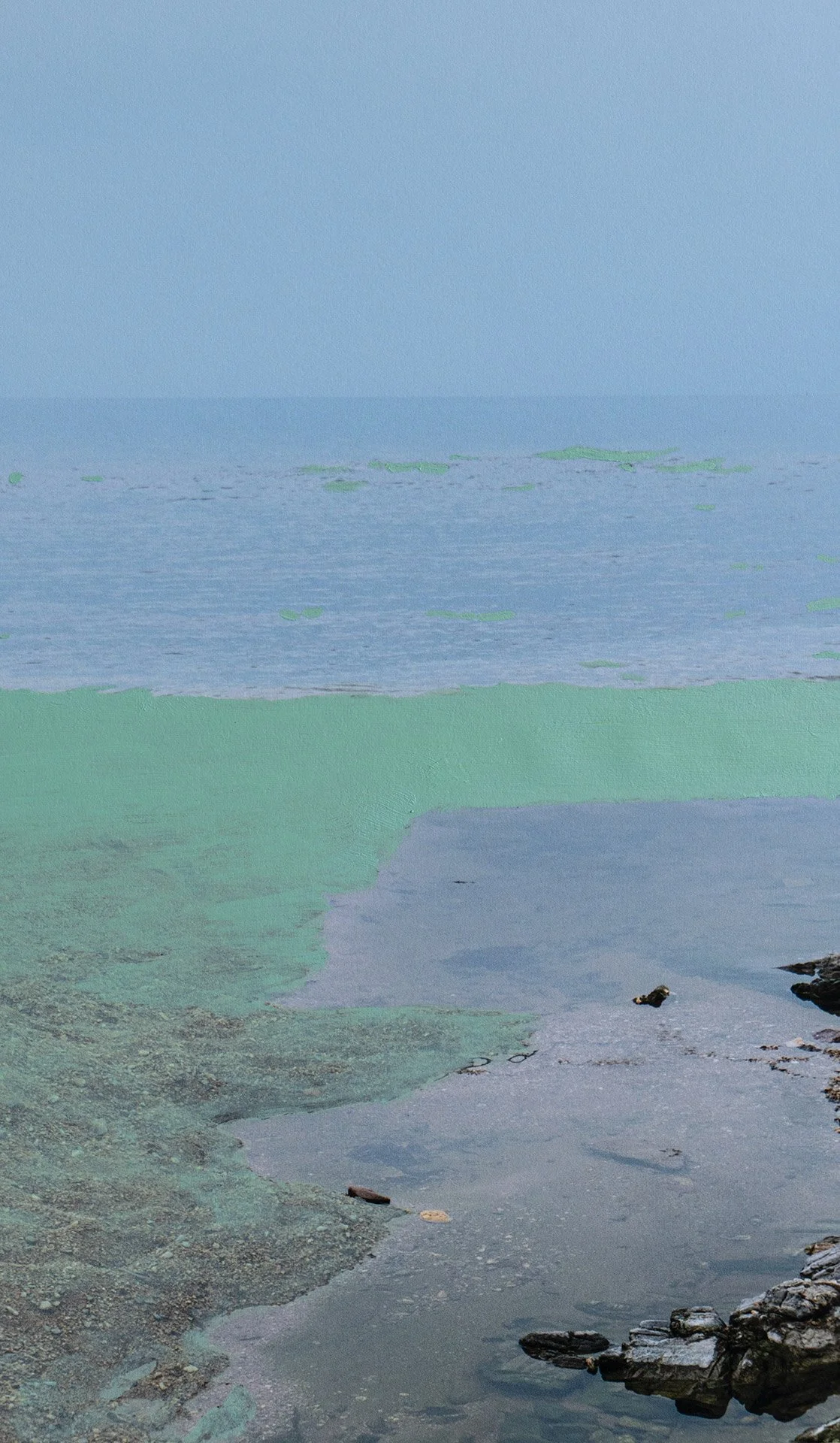 volver de un salto mar verde 5.jpg