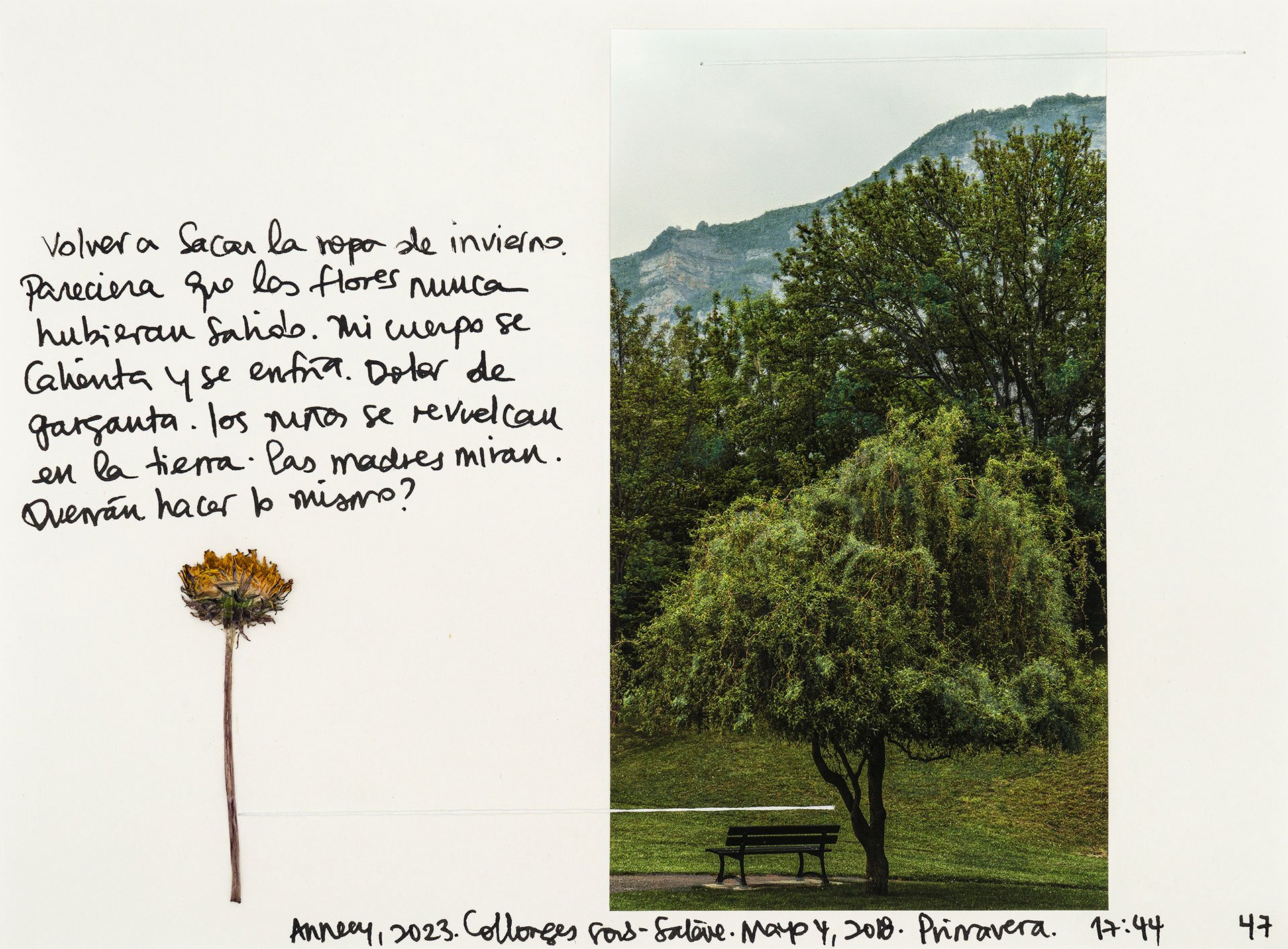 le saleve 47.jpg