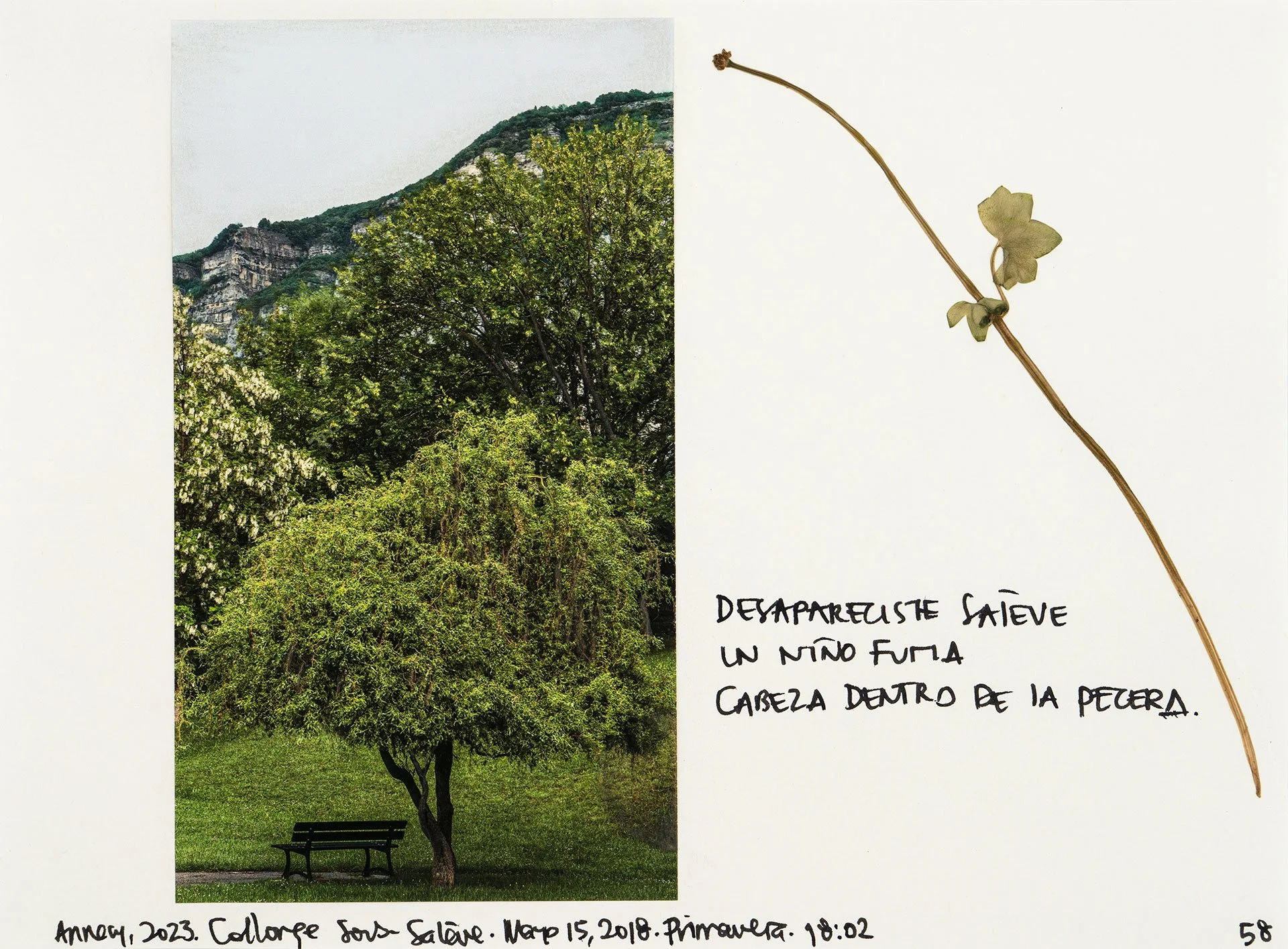 le saleve 58.jpg