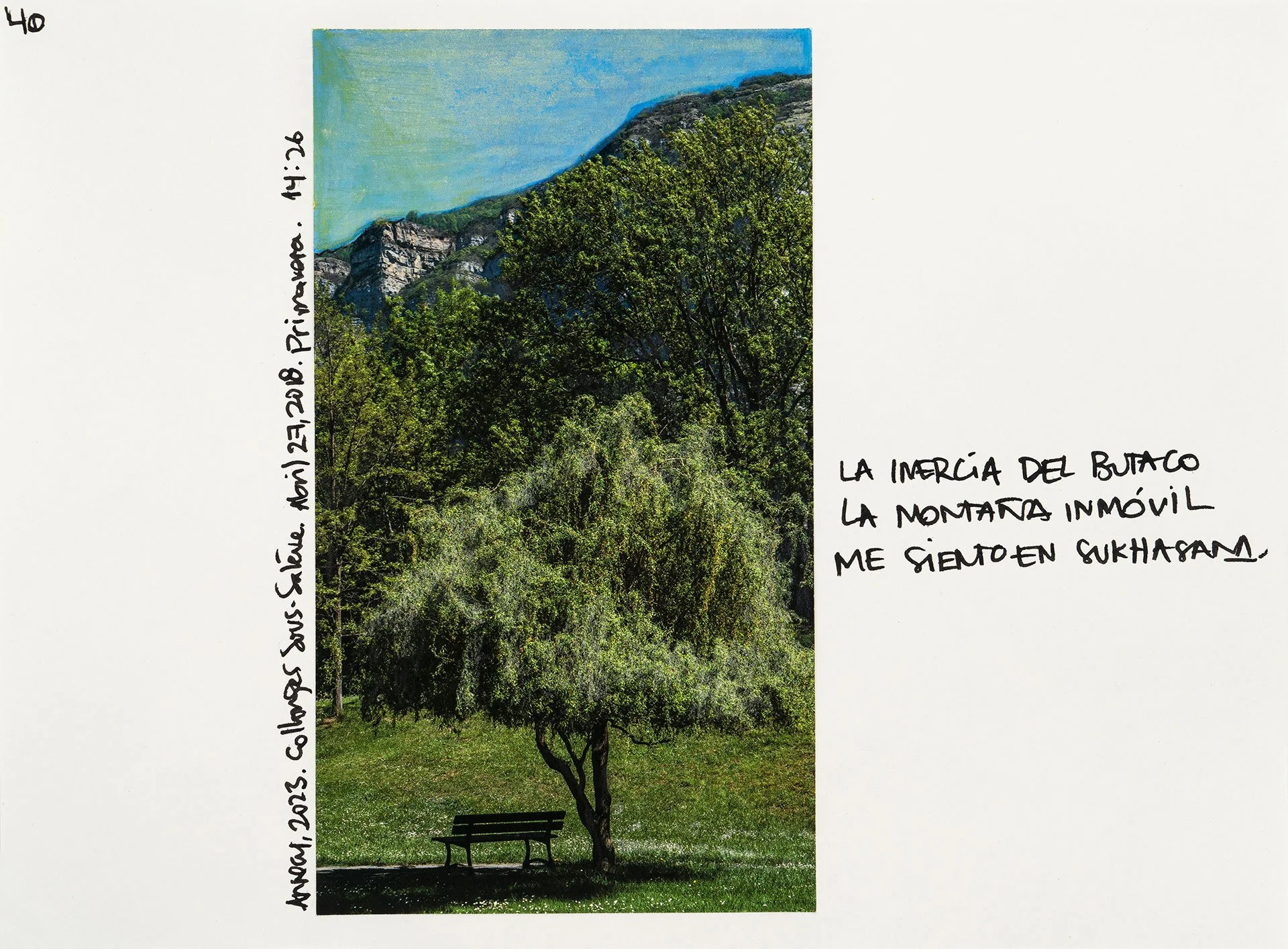 le saleve 40.jpg