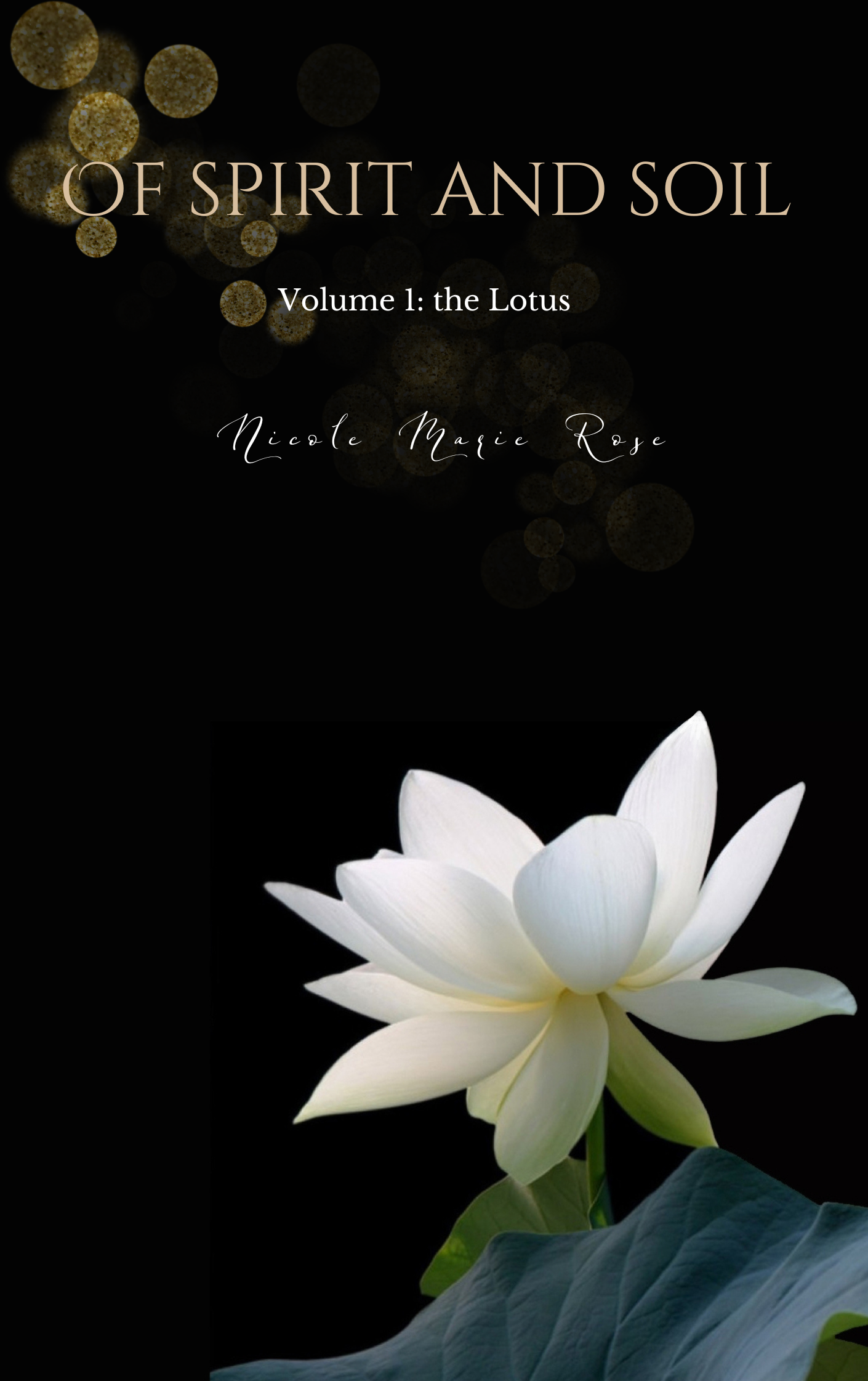 Of Spirit and Soil -         the Book