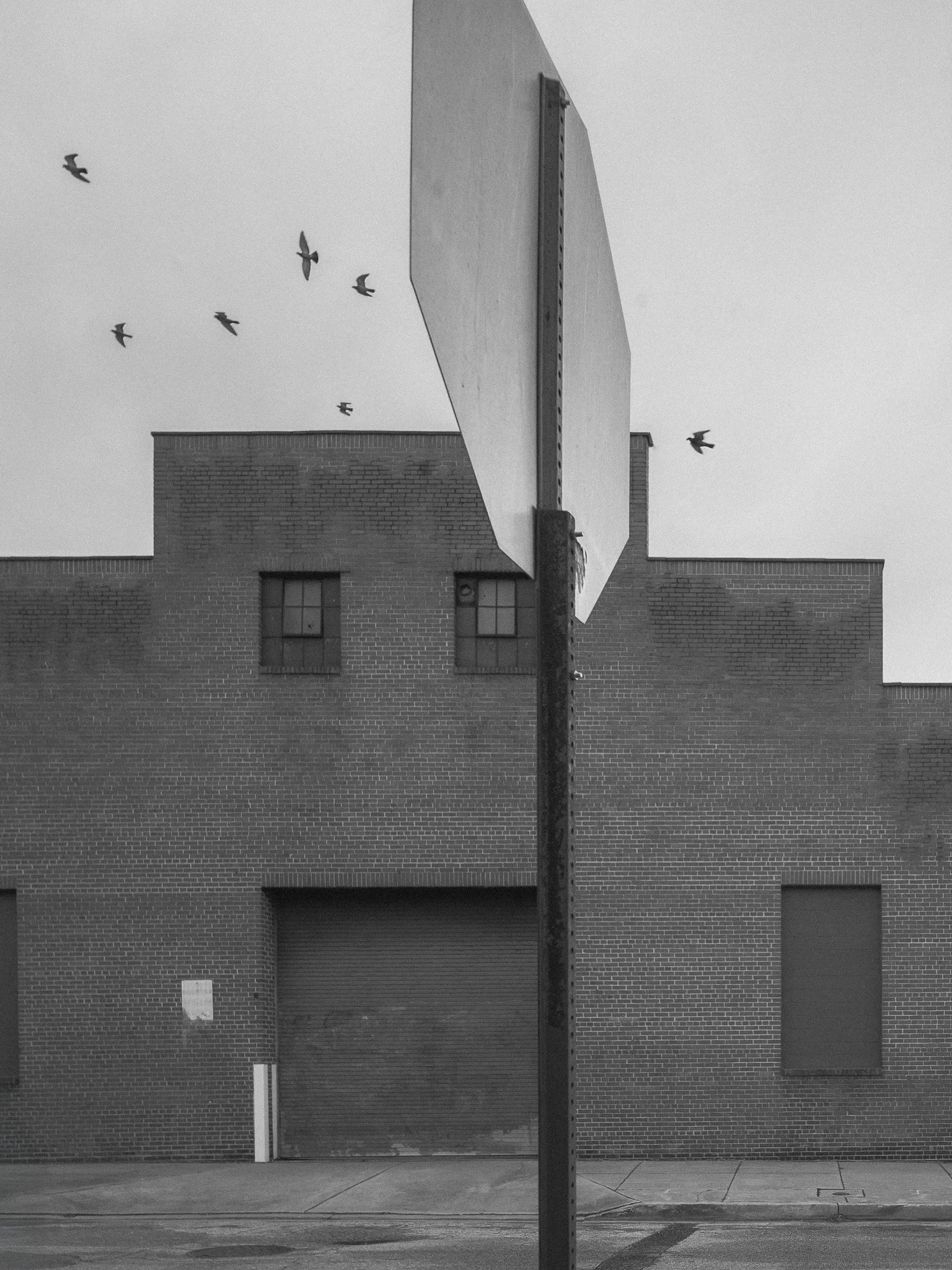 L1390796-Edit.webp