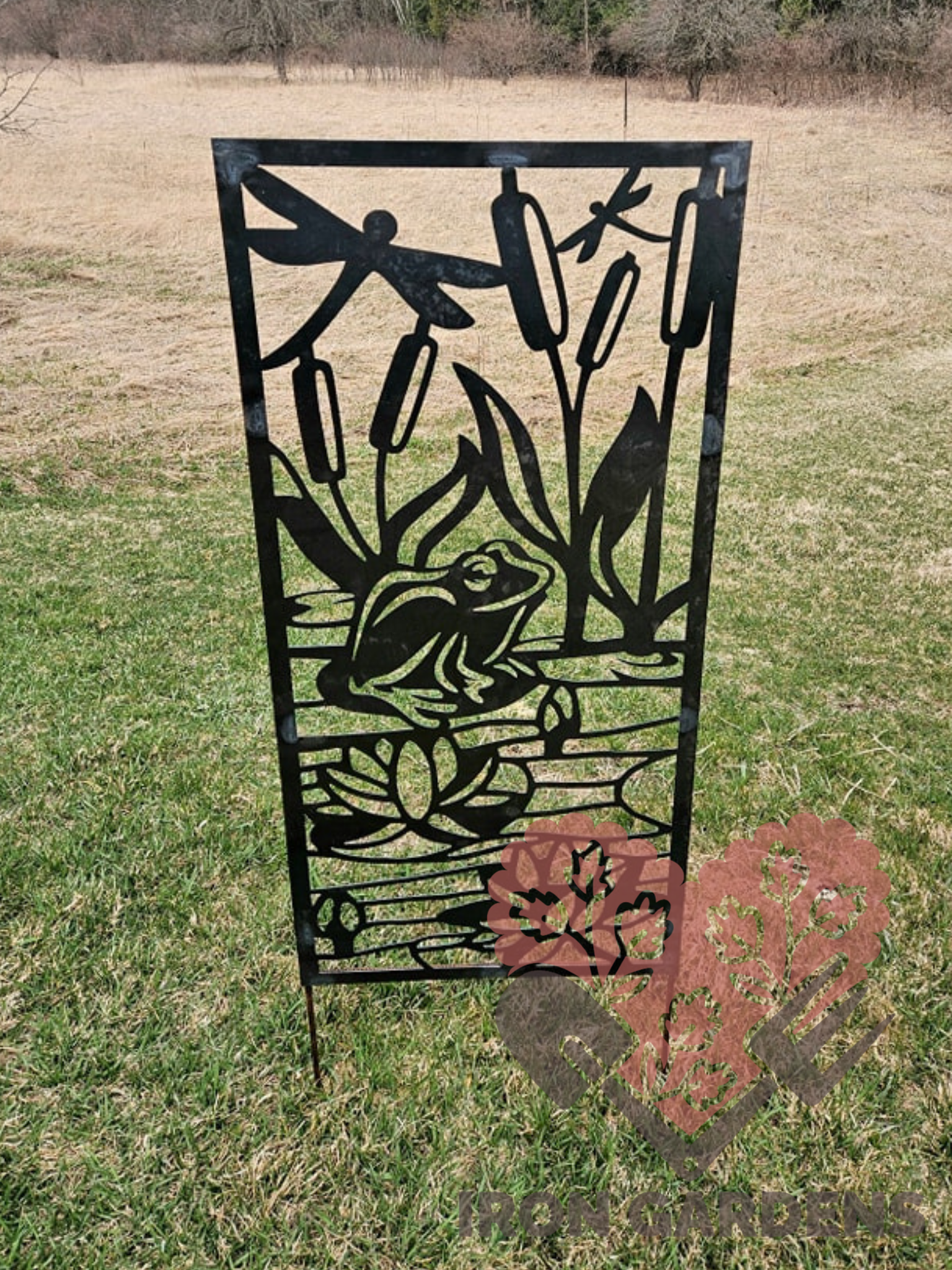 Frog Panel.png