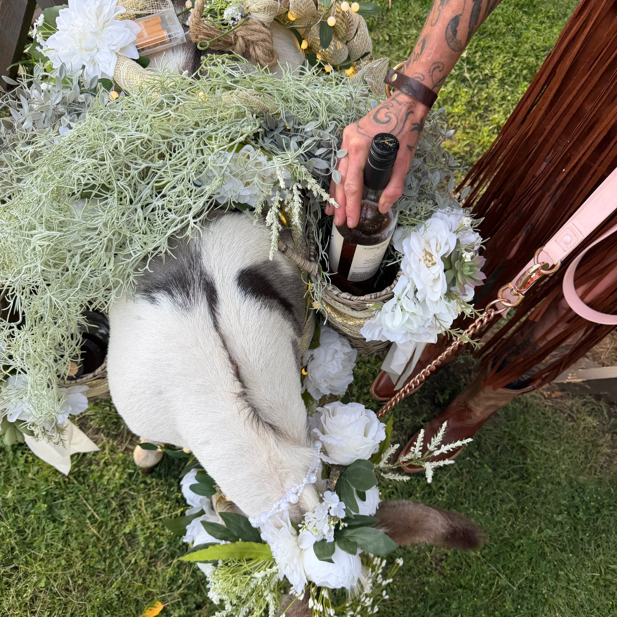 our bottle service with our donkey