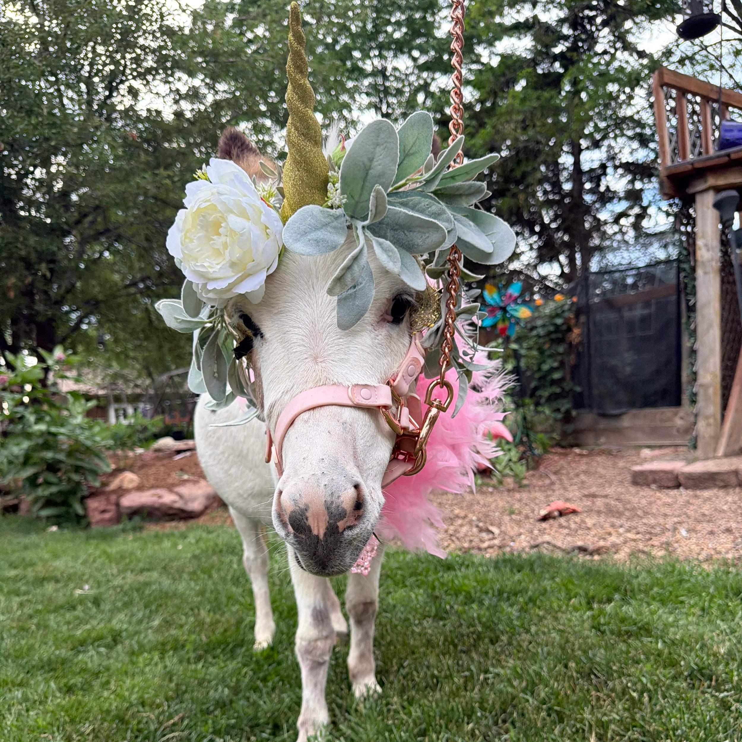 Close-up of a small horse with a flower crown on its head, standing on grass in a backyard with trees and a wooden deck in the background.