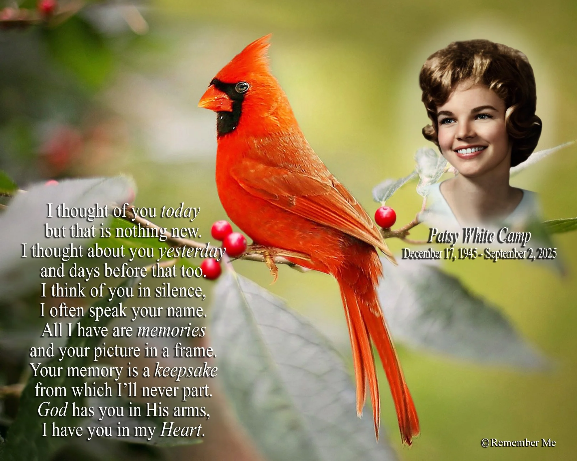 Camp, Patsy White 88 red bird 4, text 34 A.jpg