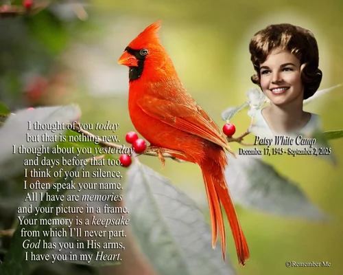 Cardinal memorial