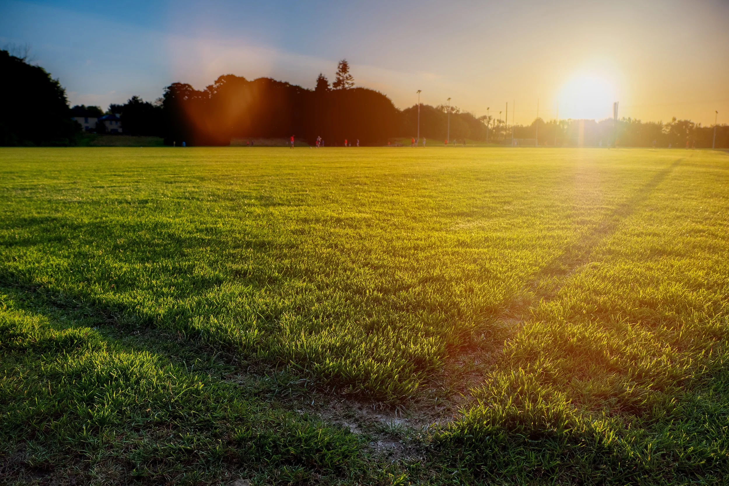 Field.jpeg