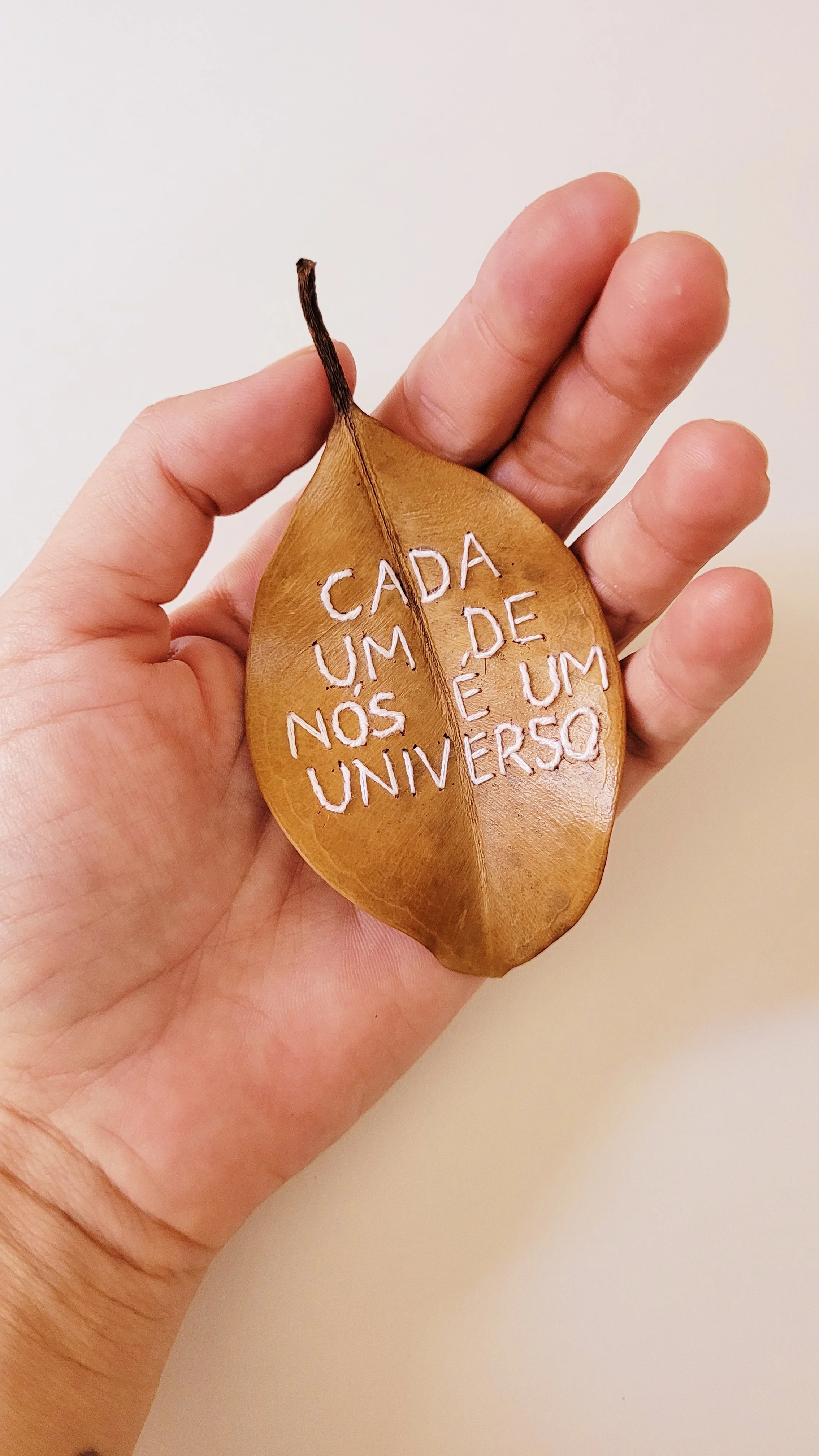 Folha seca de árvore com a mensagem escrita em linha branca: "Cada um de nós é um universo".