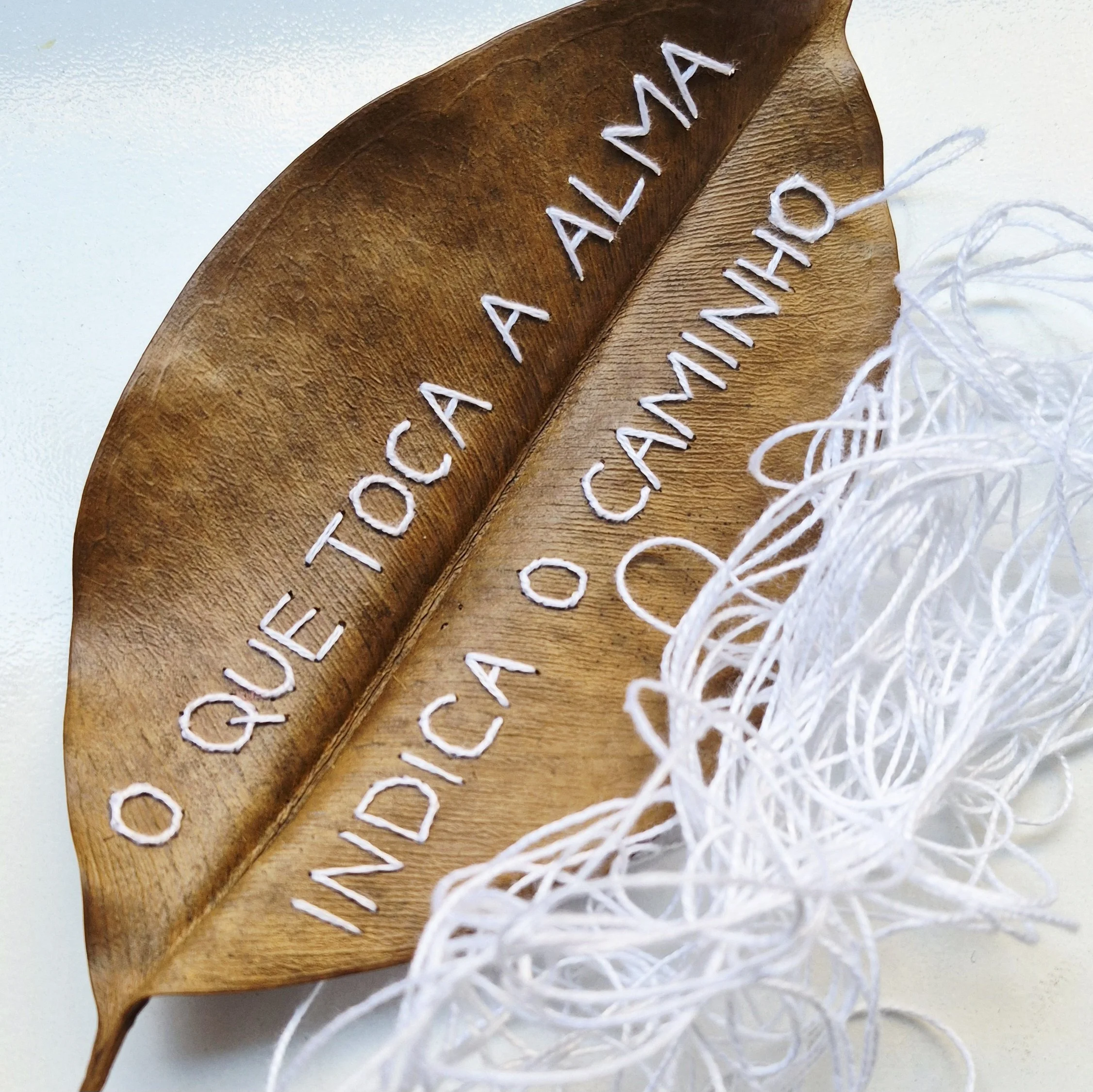 bordado-em-folha-seca-maira_165.jpg