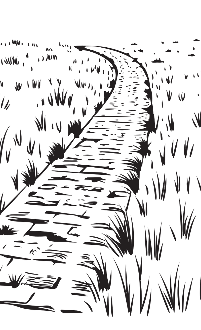 Black and white drawing of a winding path with grass on both sides.