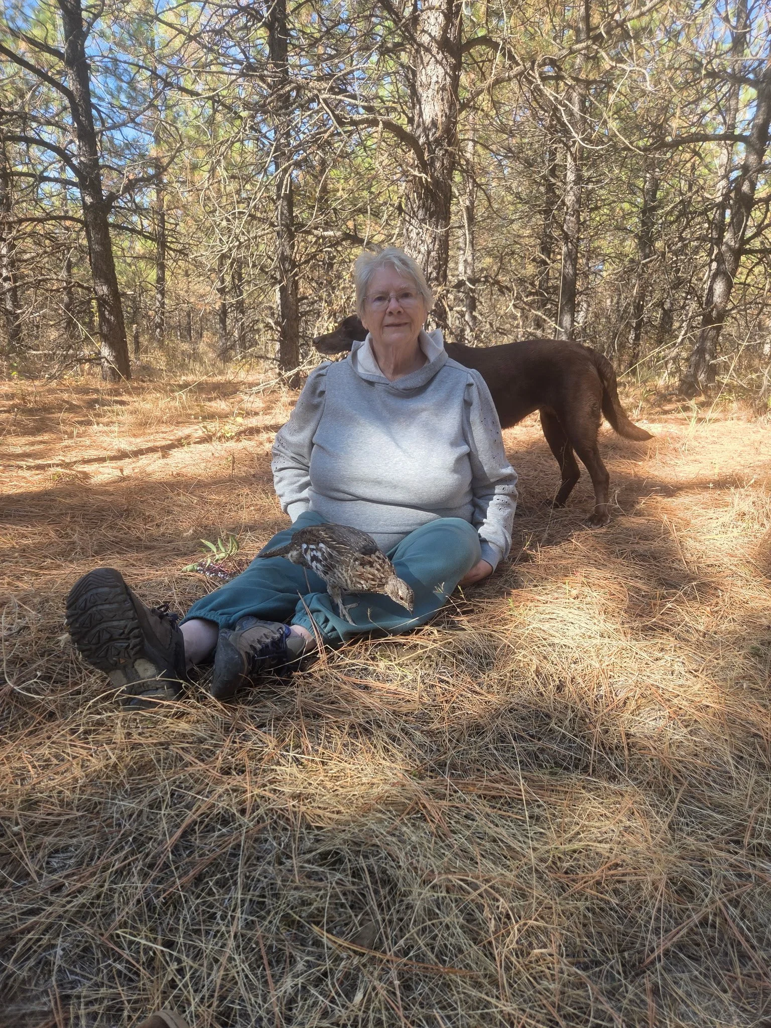 How A Wild Ruffed Grouse Became My Grandma’s Pet Bird