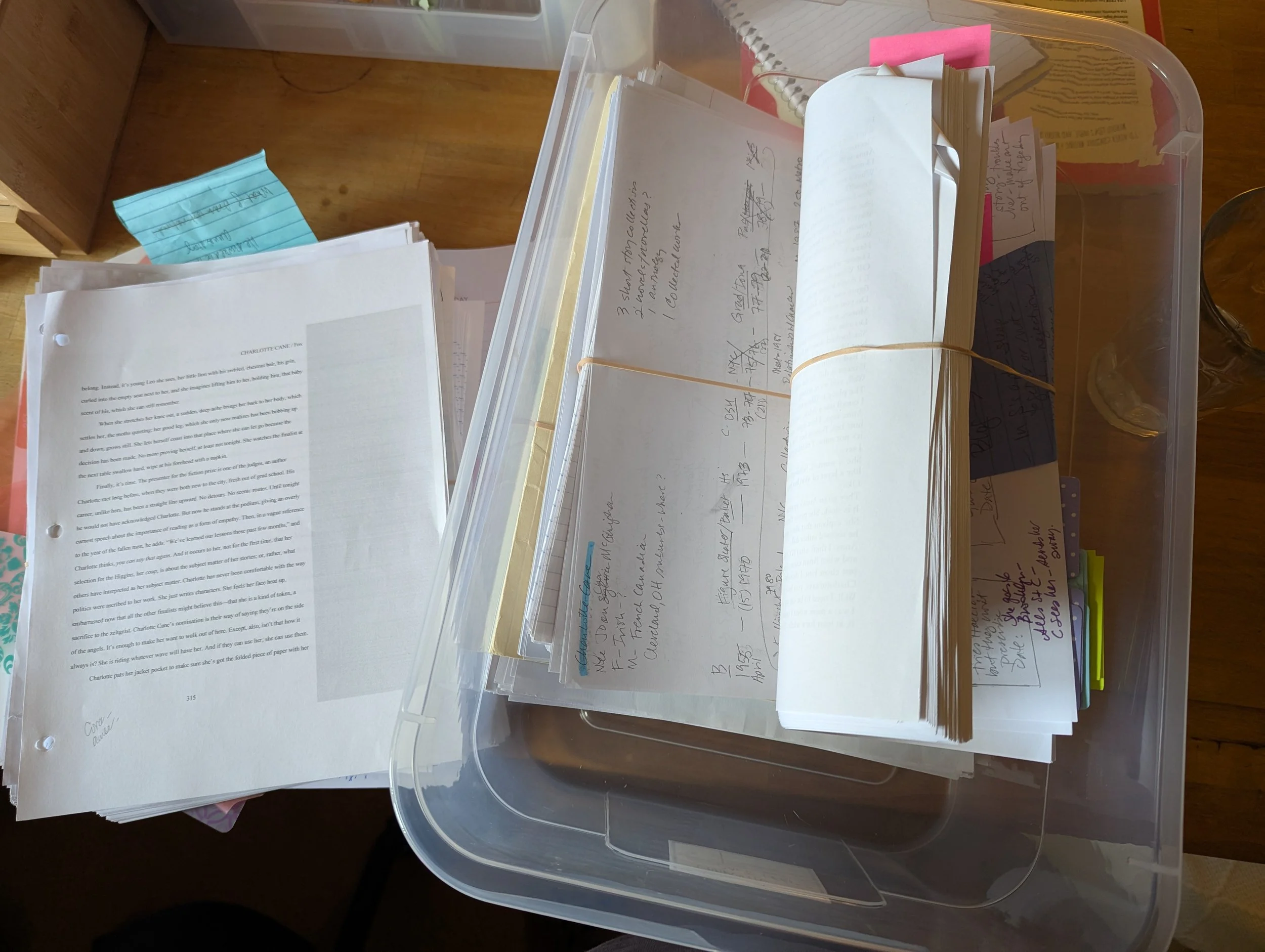 Just a small sampling of the many drafts I’ve still got in my closet. Photo of handwritten and printed drafts in a storage container