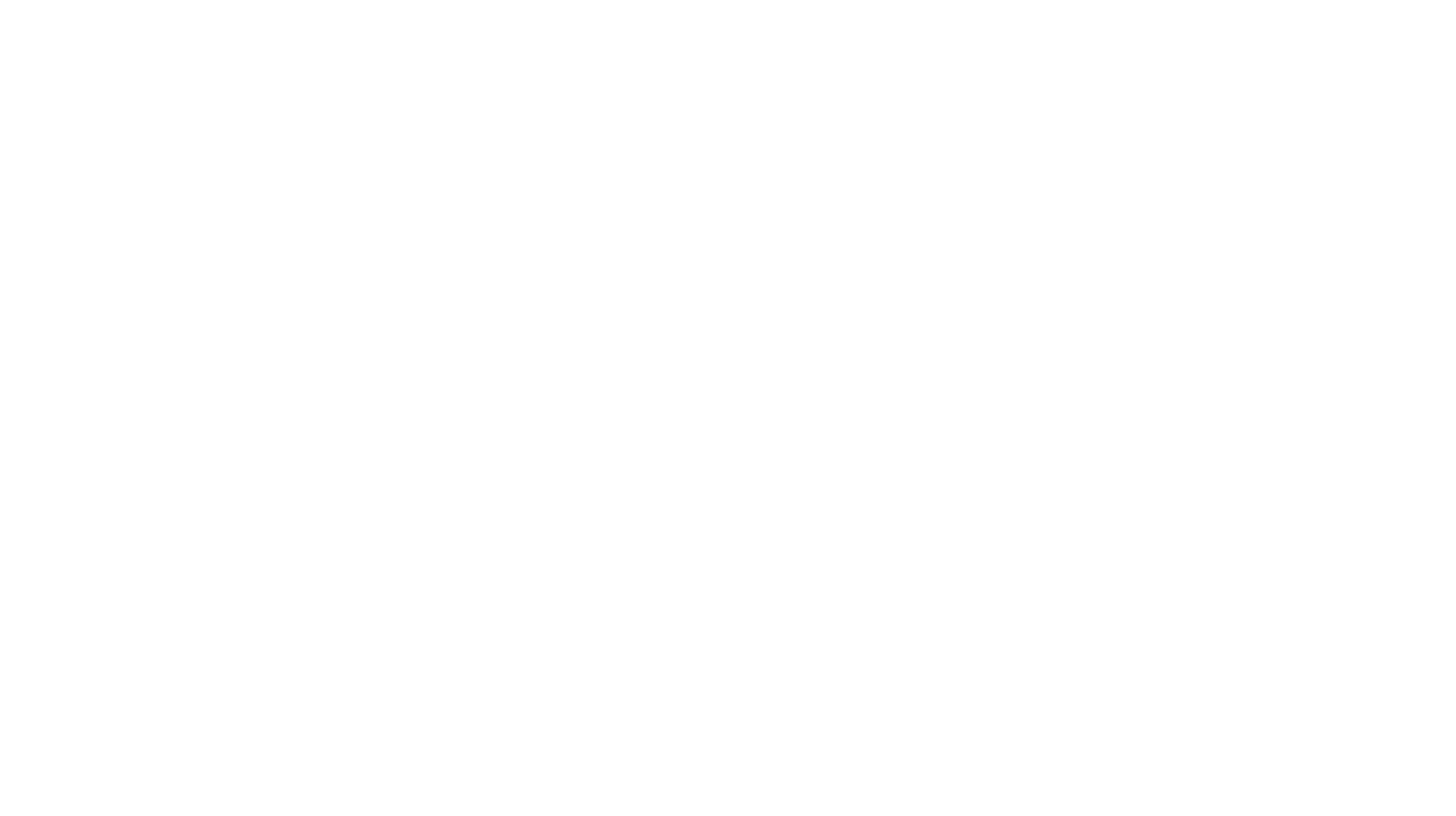LOGGIE BEAR CUSTOMS LTD.