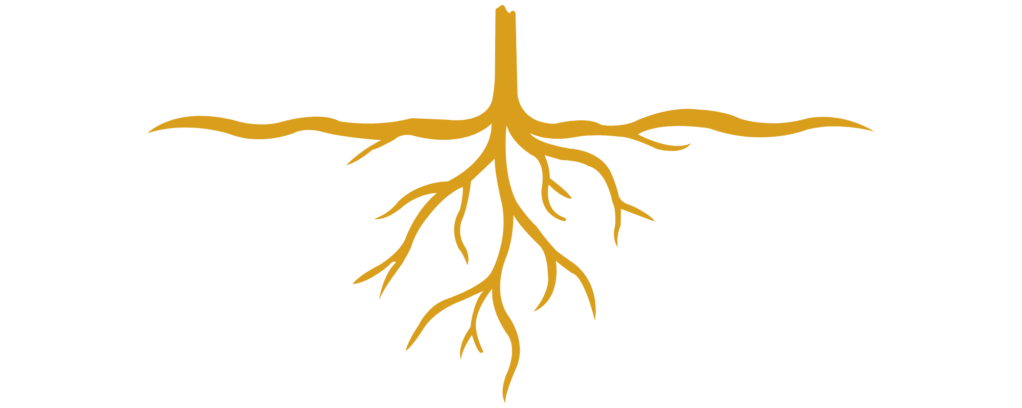 A stylized black and gold graphic of a tree with roots extending downward and branches spreading outward.