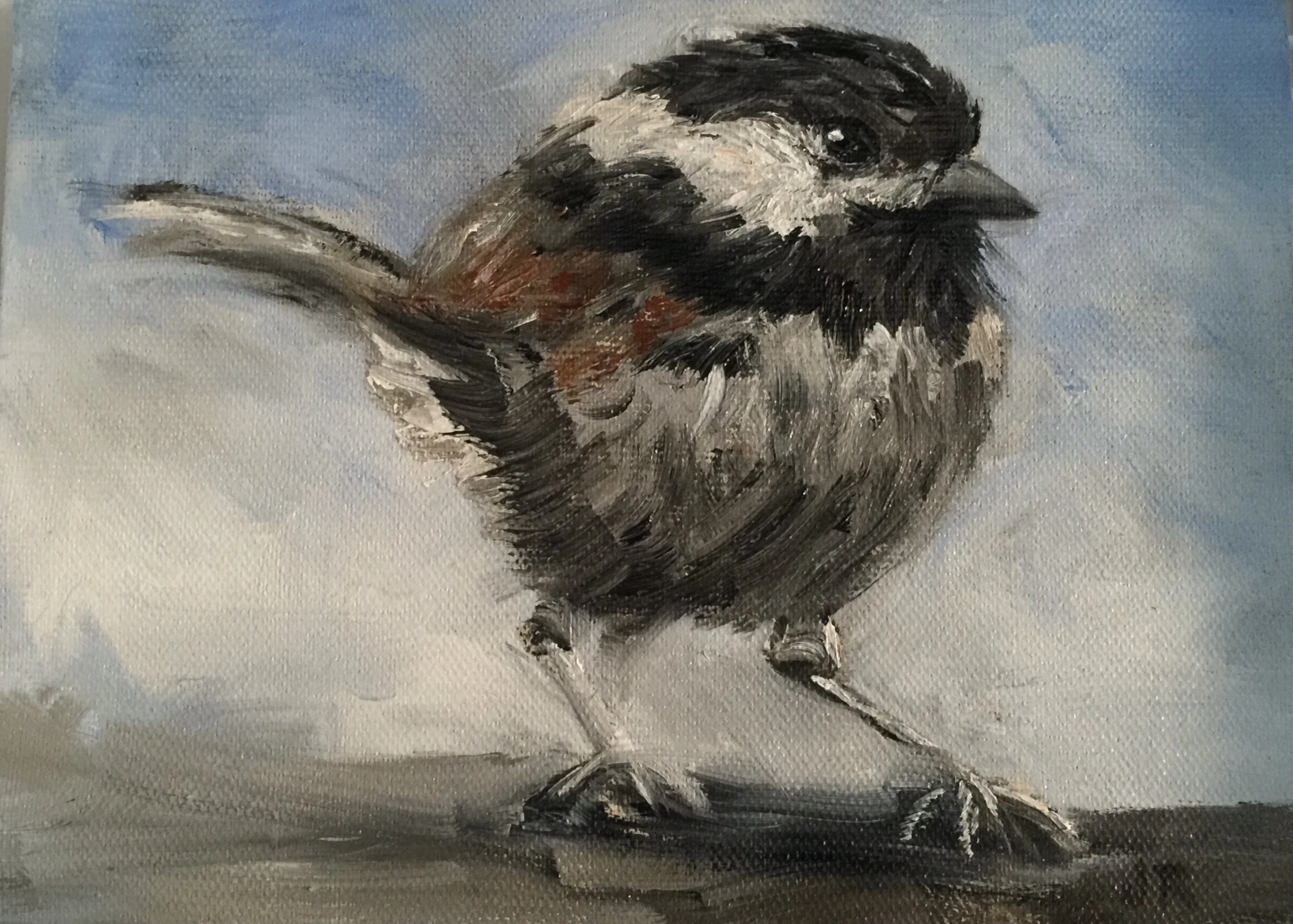 A painting of a small bird with black, white, and brown feathers perched on a branch against a cloudy sky background.