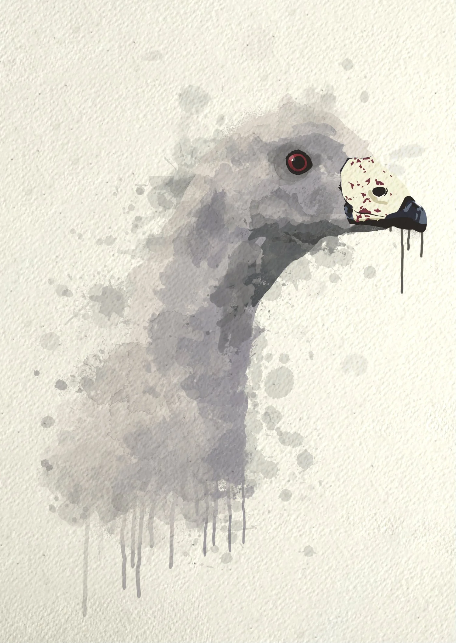 Watercolour portrait of a Cape Barren Goose.