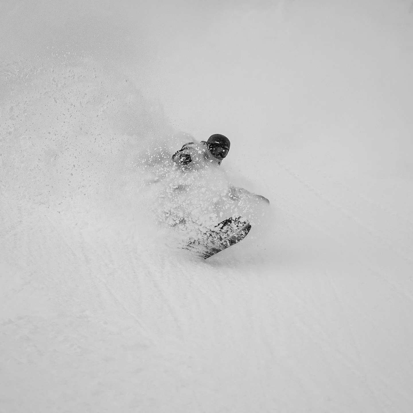 Mid Season